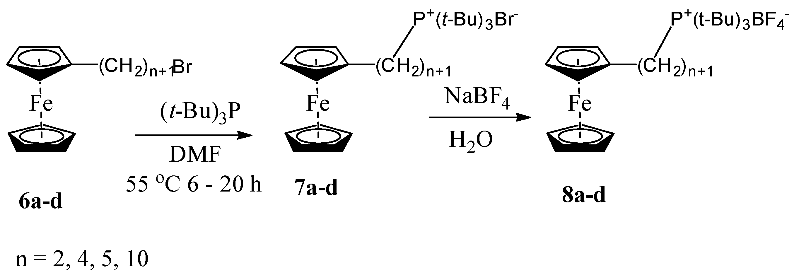 Ijms 23 15534 sch004