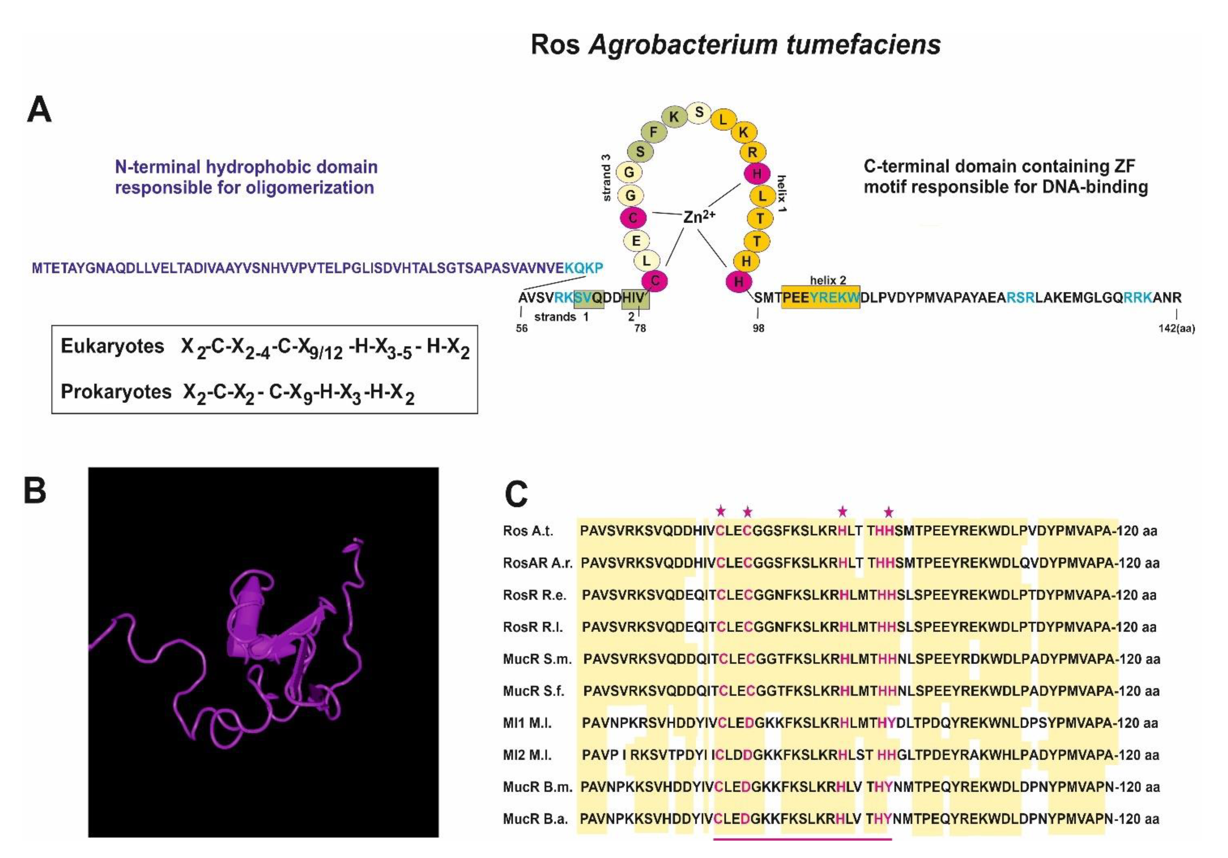 Ijms 23 15536 g001 Ijms 23 15536 g001