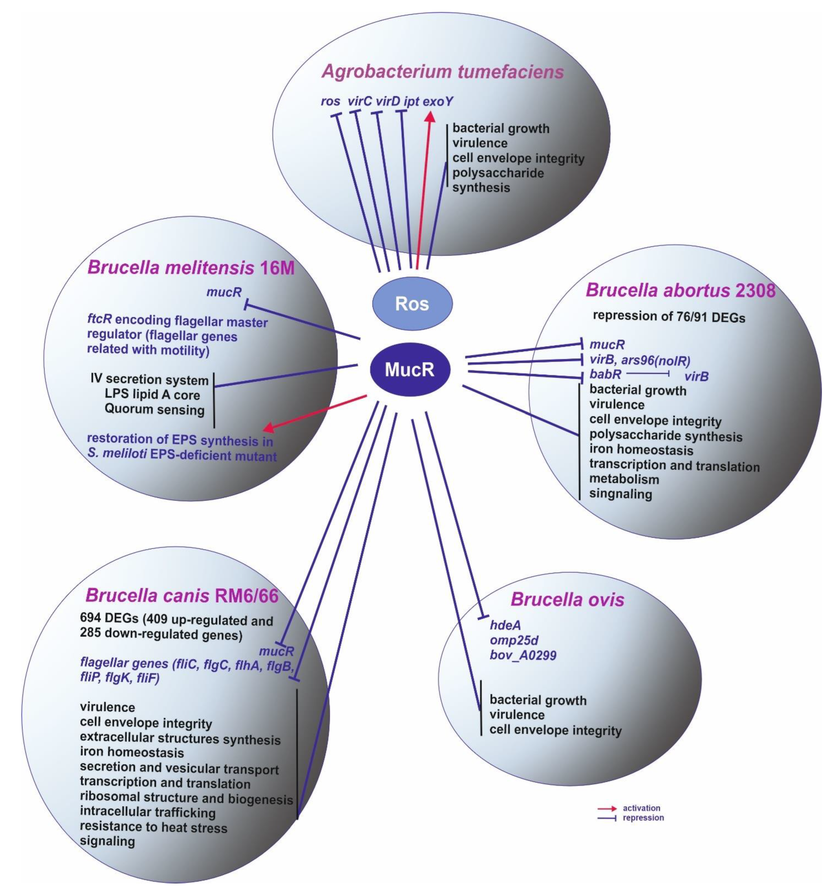 Ijms 23 15536 g002 Ijms 23 15536 g002