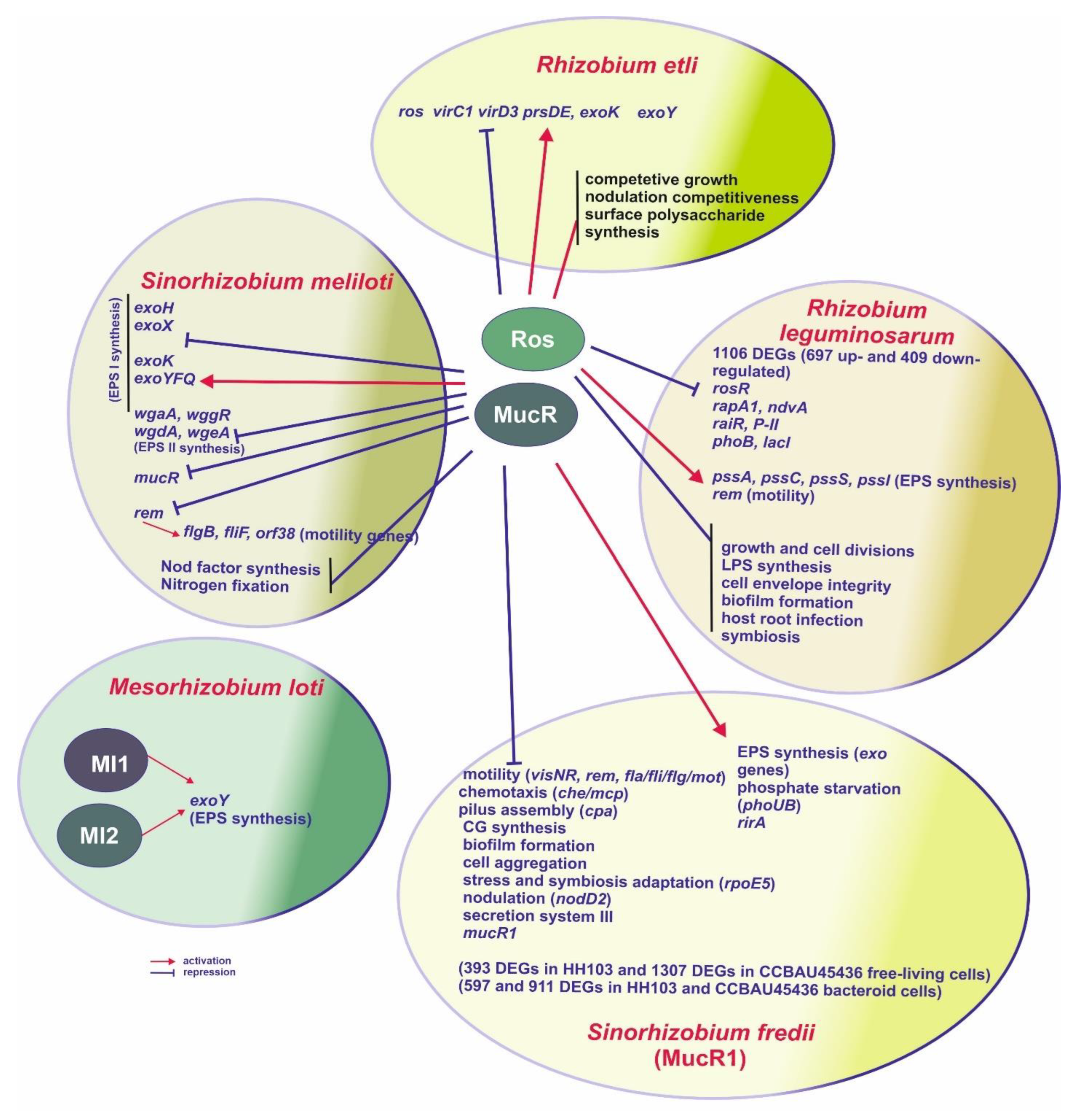 Ijms 23 15536 g003 Ijms 23 15536 g003