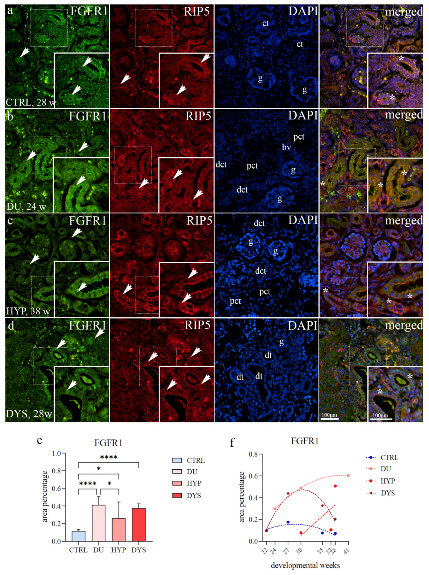 Ijms 23 15537 g002 Ijms 23 15537 g002