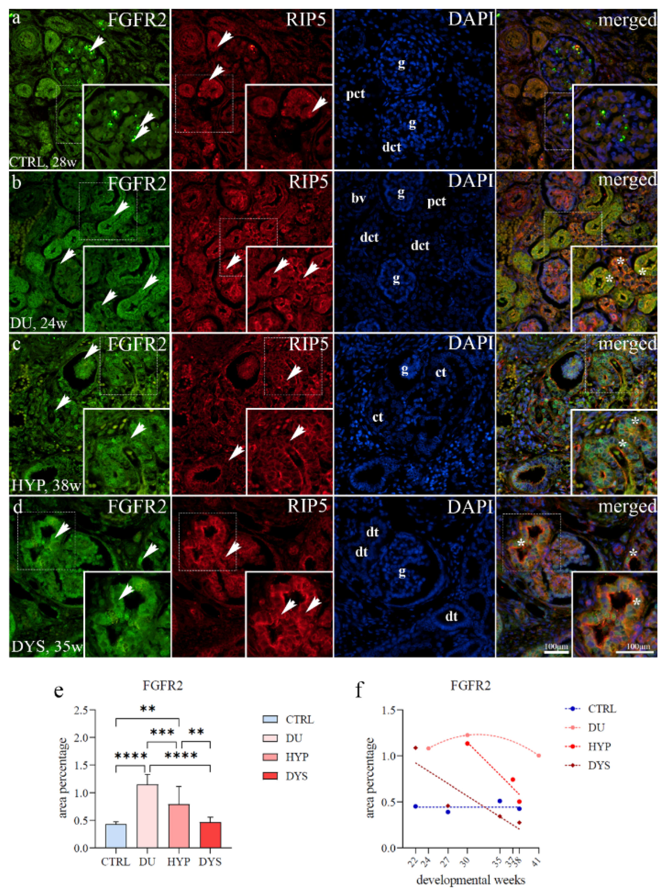 Ijms 23 15537 g004 Ijms 23 15537 g004