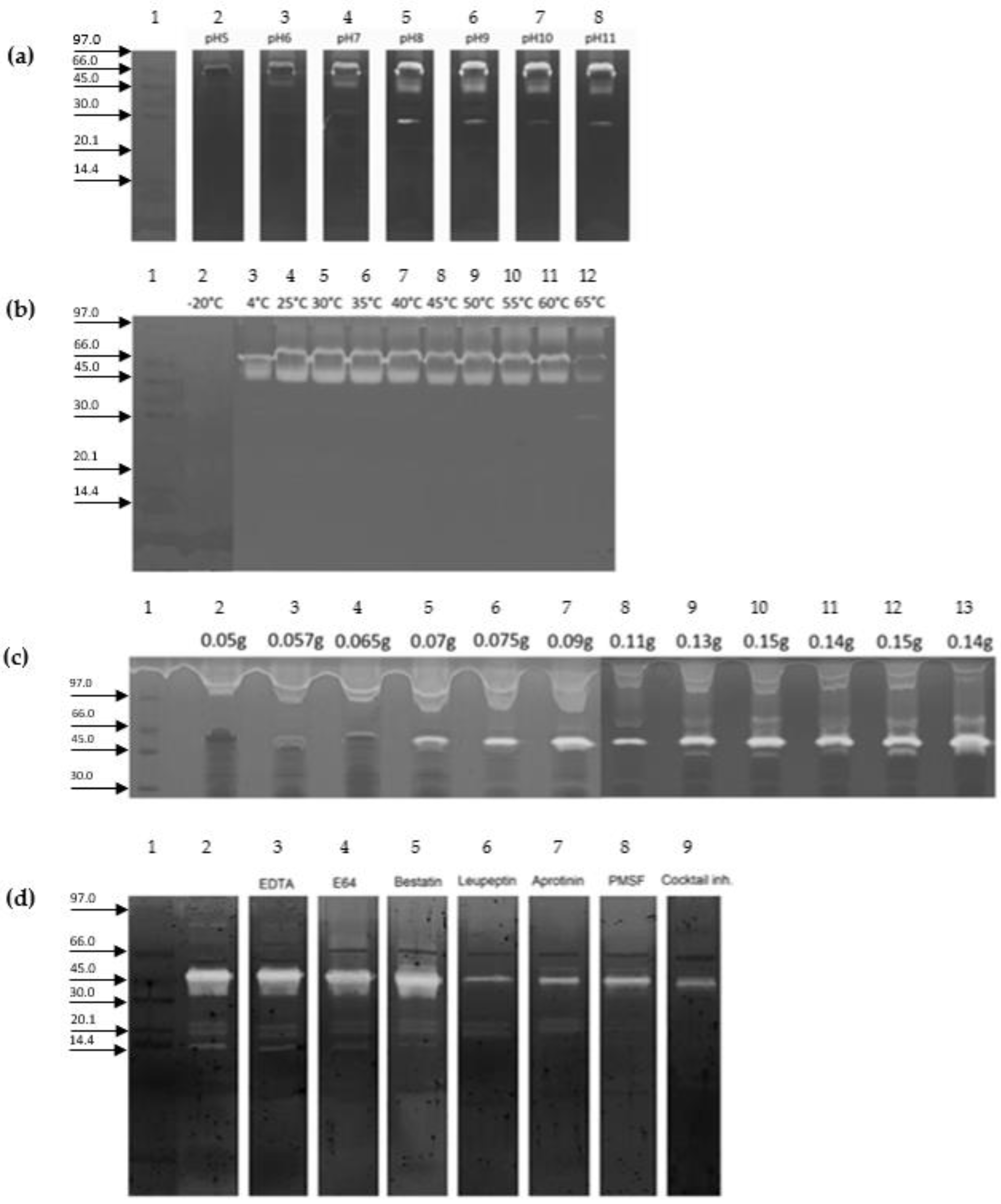 Ijms 23 15546 g002 Ijms 23 15546 g002