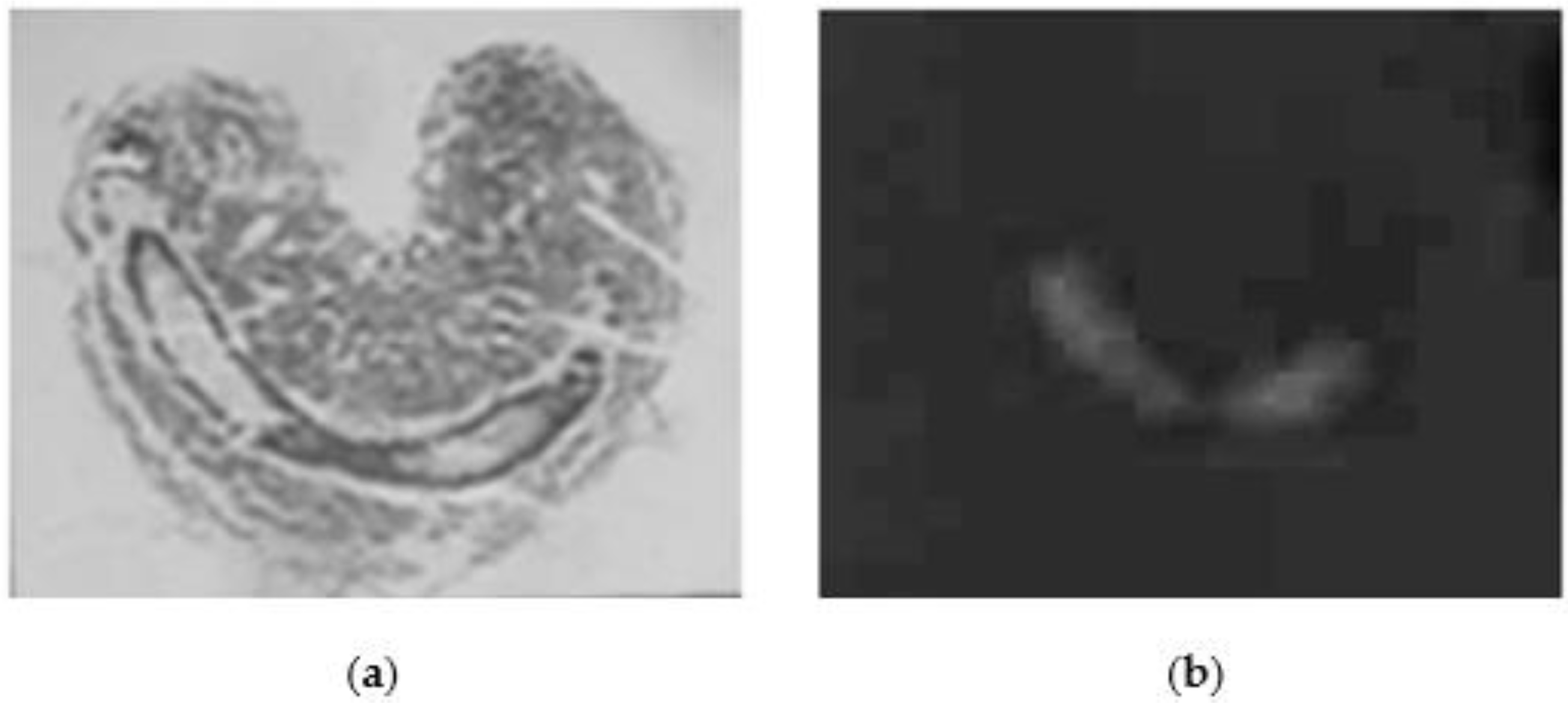 Ijms 23 15546 g003 Ijms 23 15546 g003