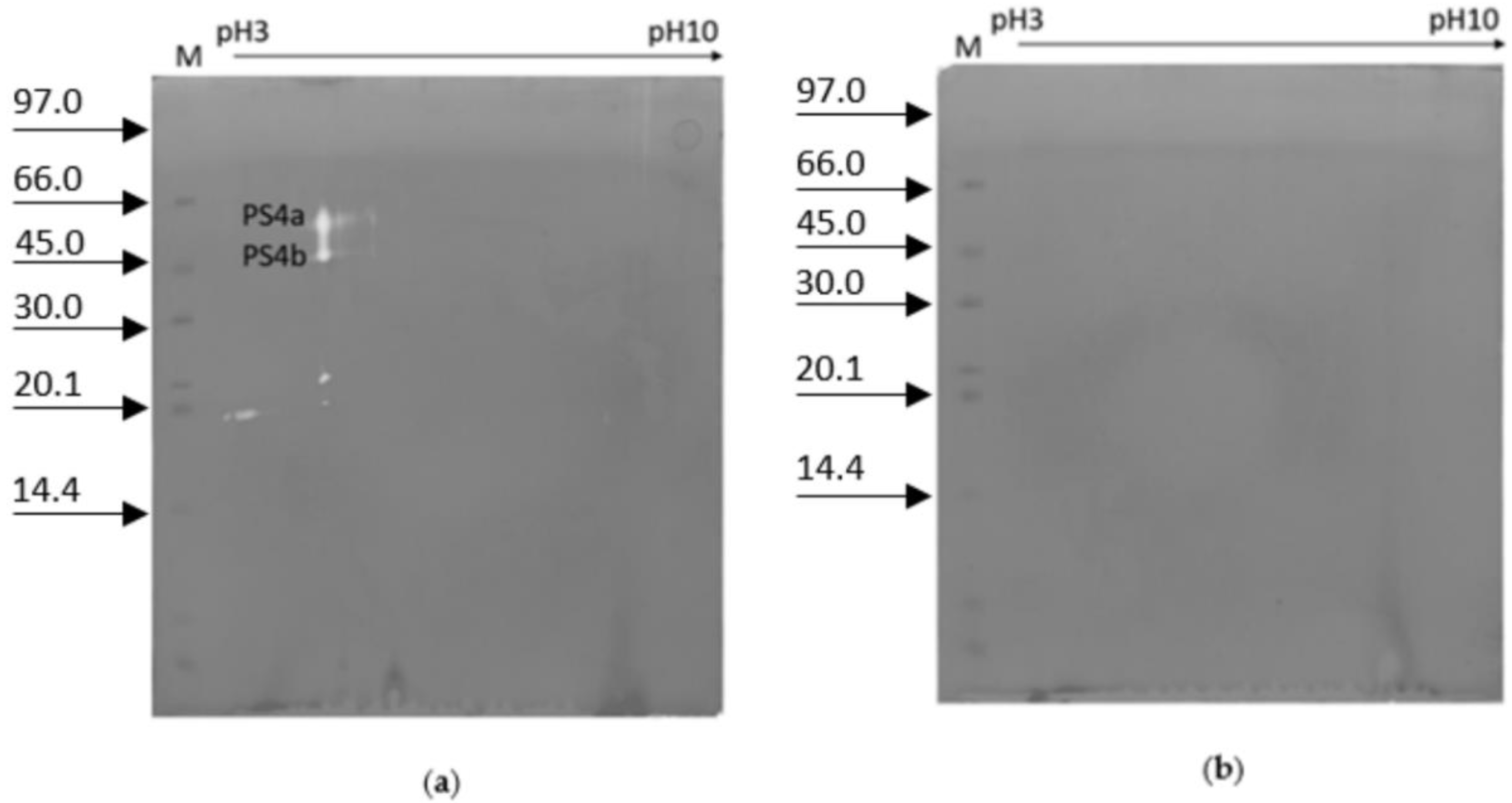 Ijms 23 15546 g006 Ijms 23 15546 g006