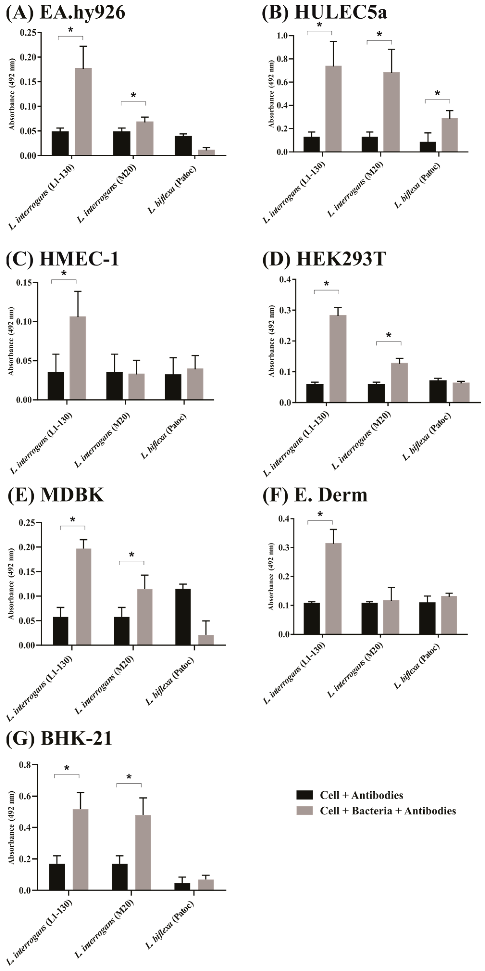 Ijms 23 15550 g001 Ijms 23 15550 g001