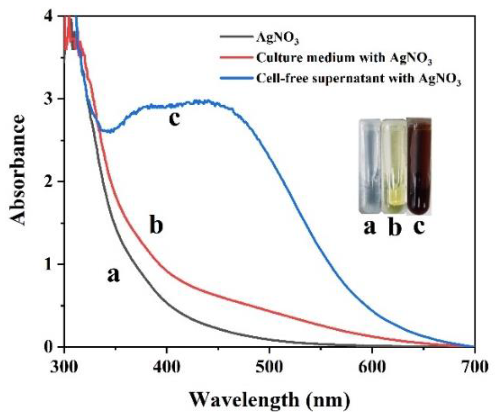 Ijms 23 15558 g002 Ijms 23 15558 g002