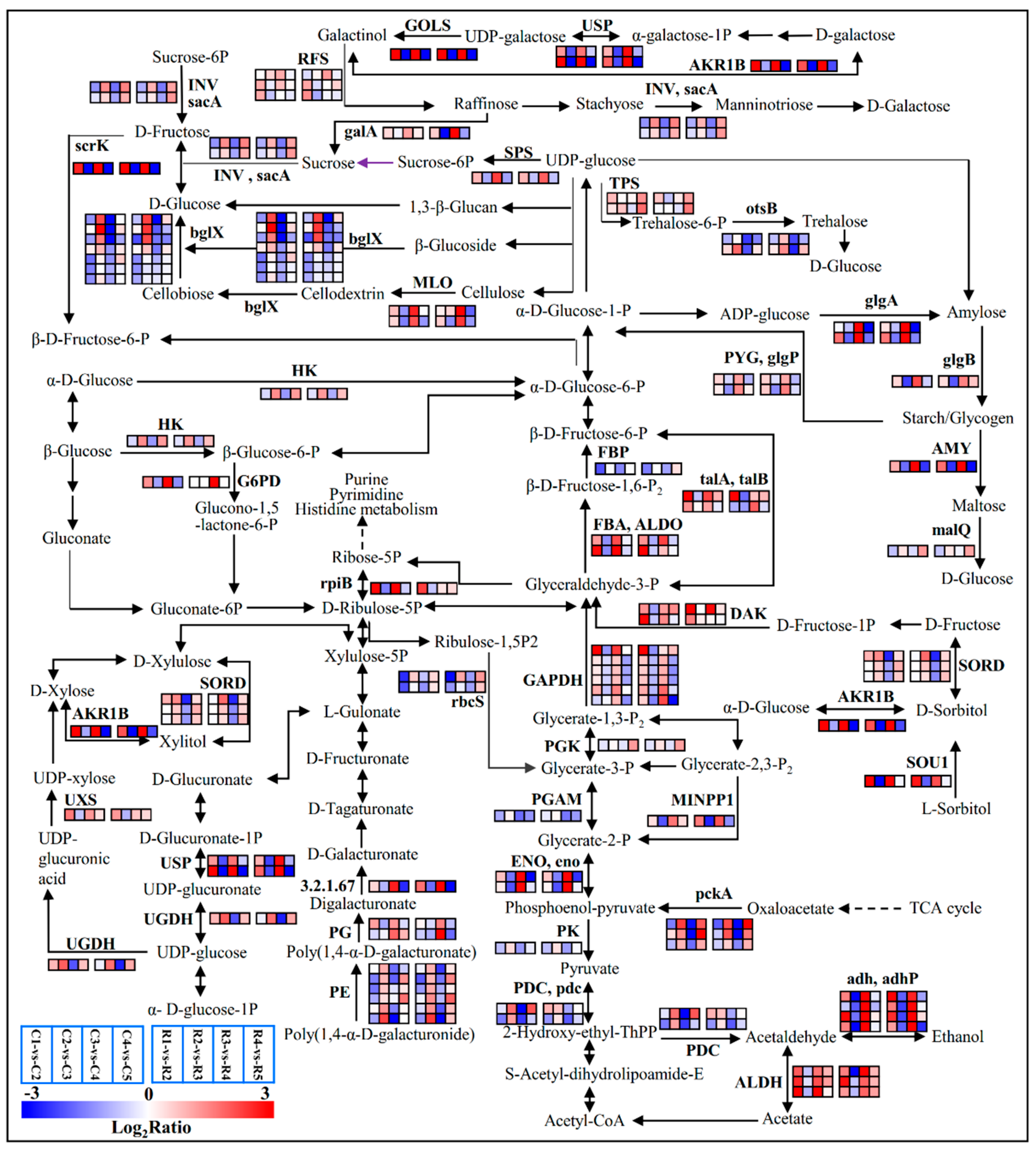 Ijms 23 15562 g004 Ijms 23 15562 g004