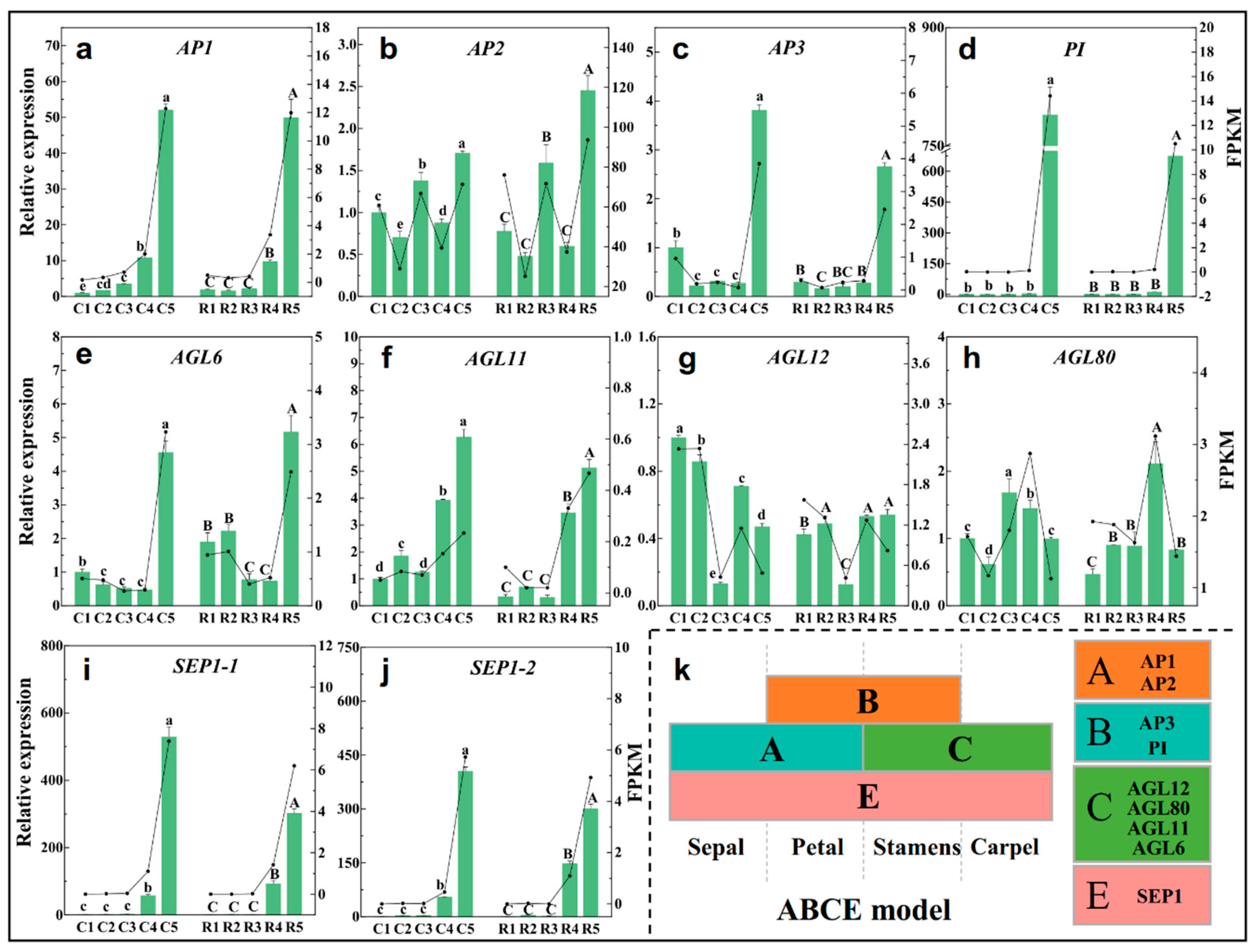 Ijms 23 15562 g008 Ijms 23 15562 g008