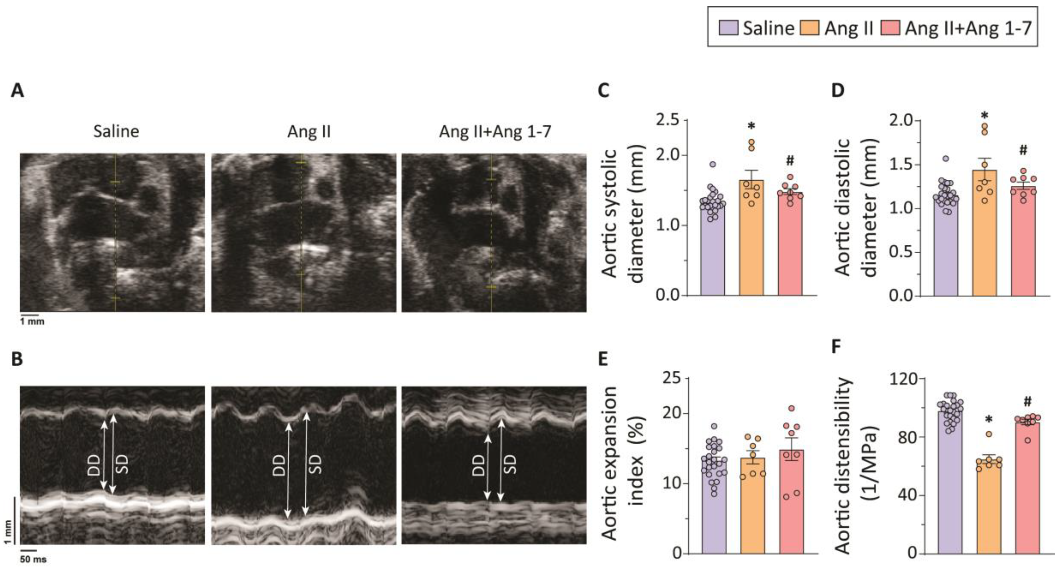 Ijms 23 15566 g001 Ijms 23 15566 g001