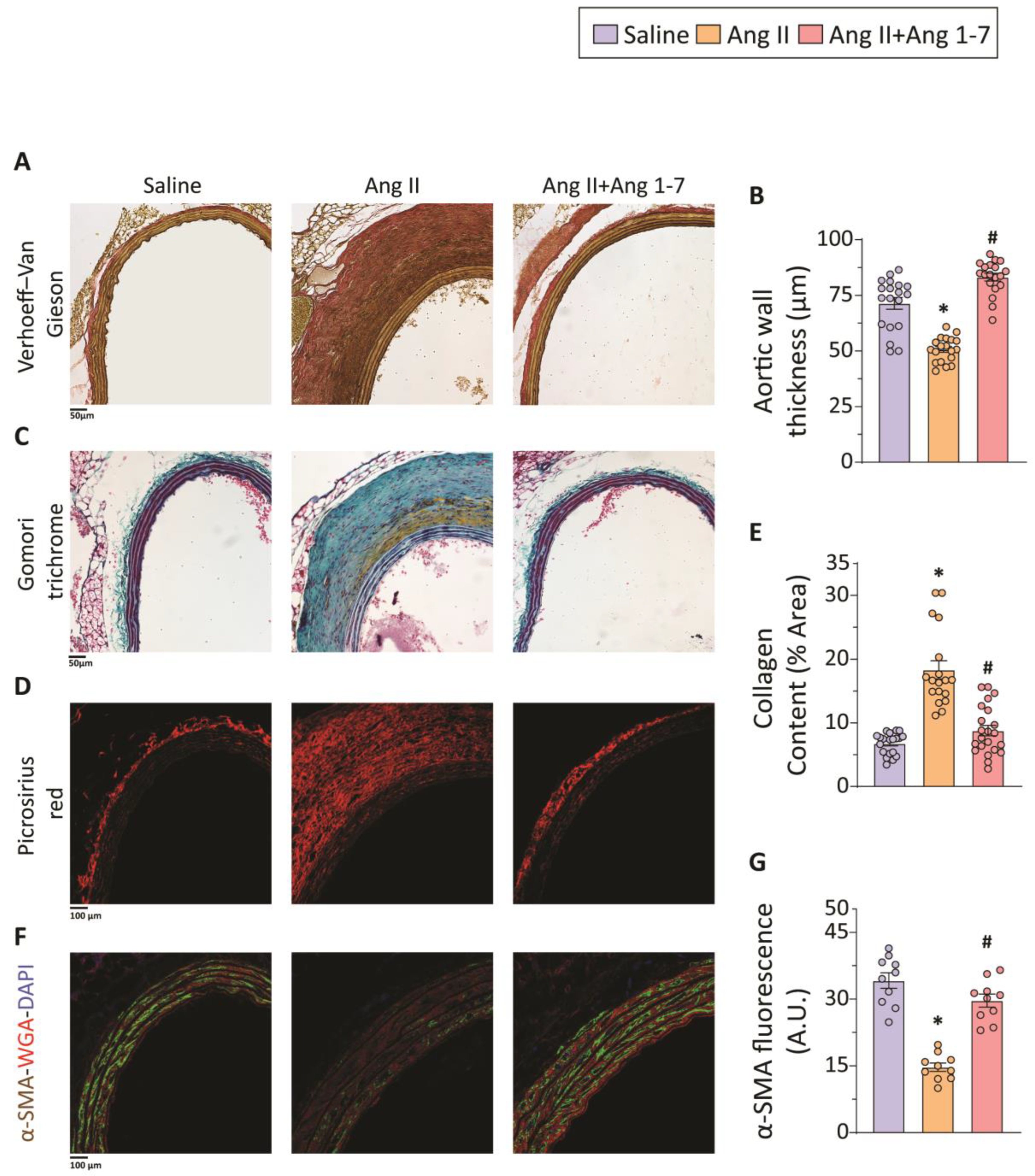 Ijms 23 15566 g002 Ijms 23 15566 g002