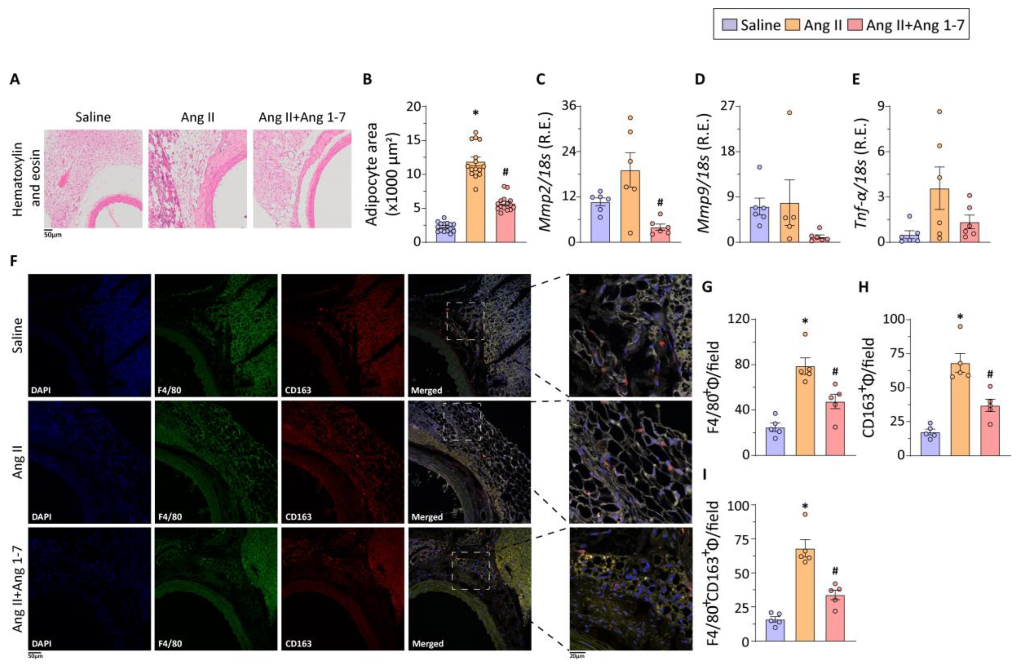Ijms 23 15566 g003 Ijms 23 15566 g003