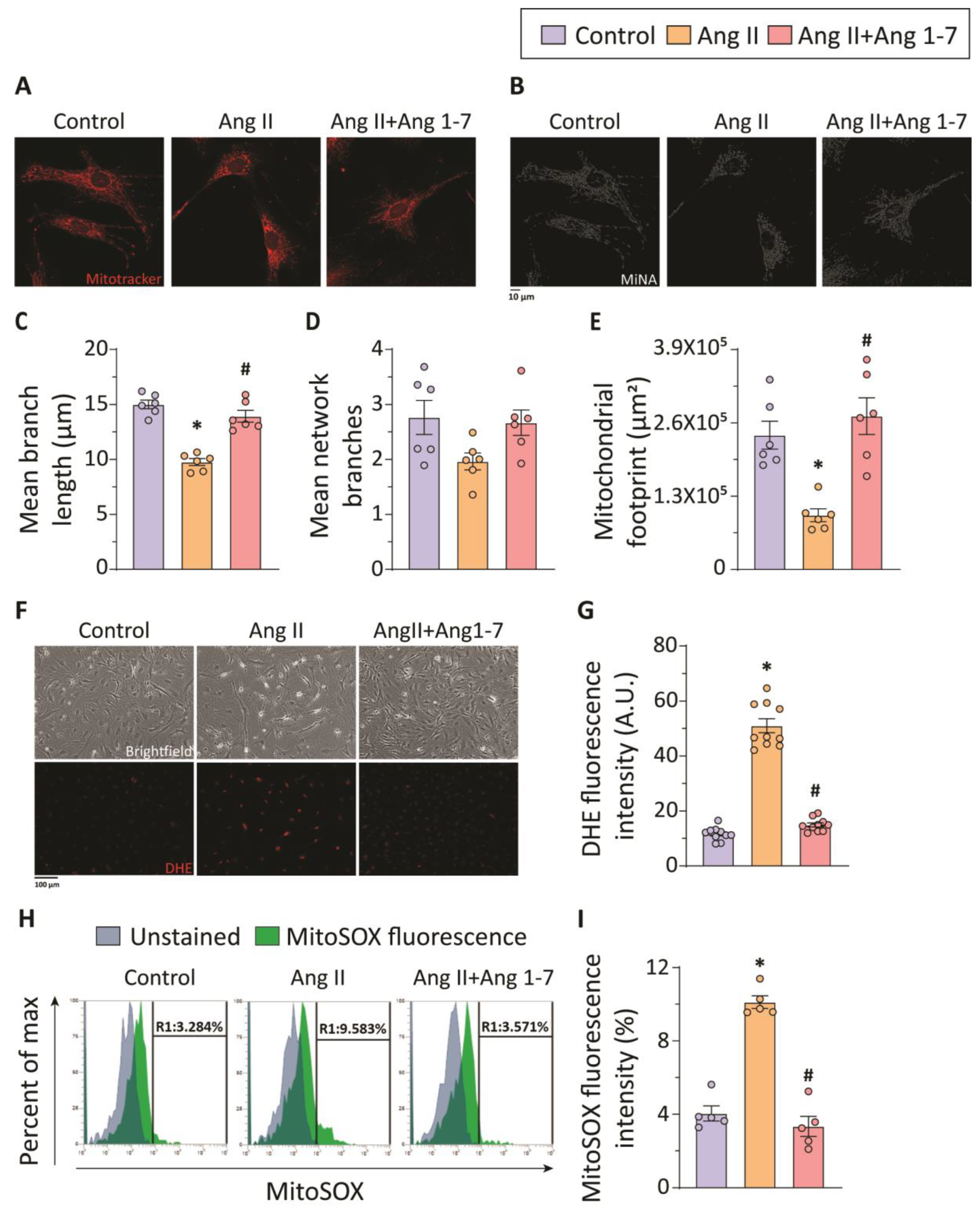 Ijms 23 15566 g005 Ijms 23 15566 g005