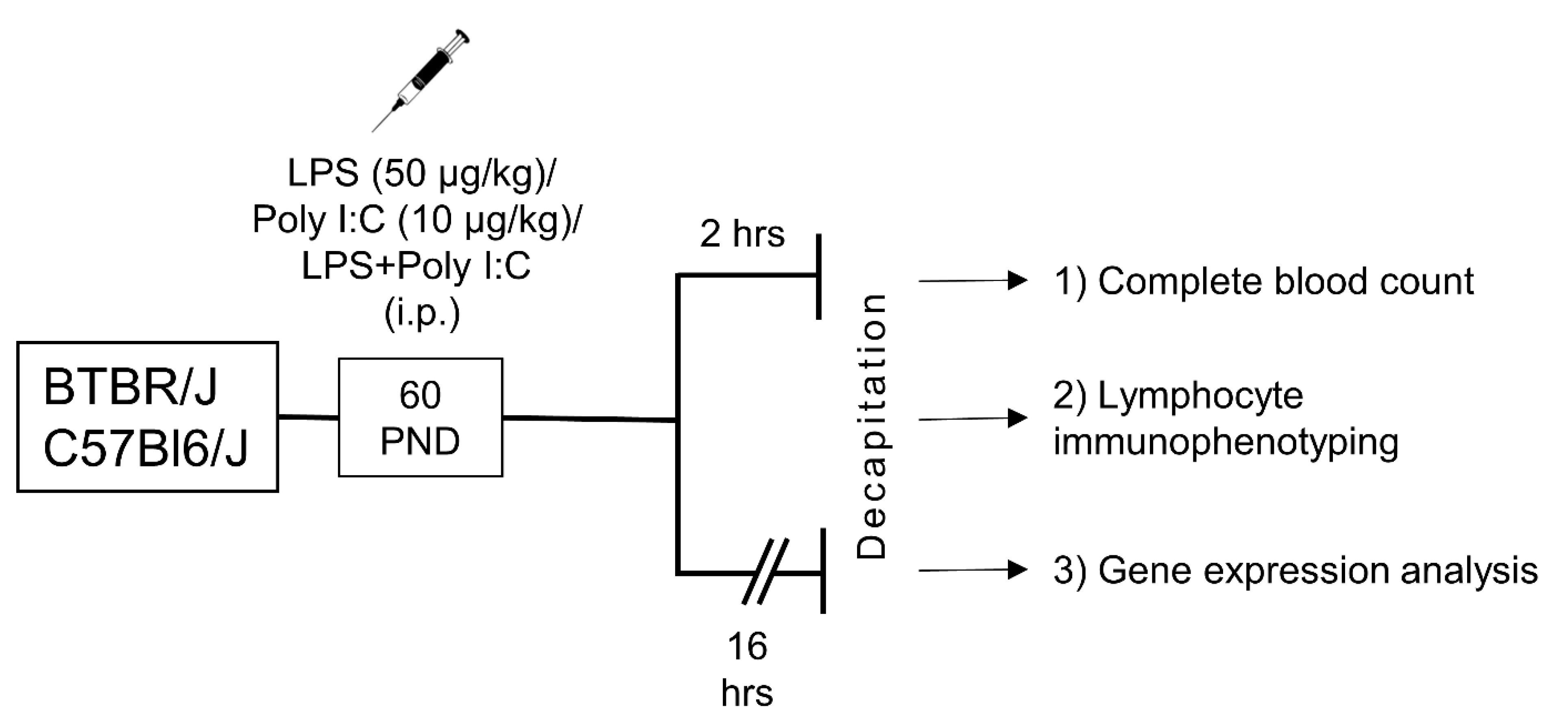 Ijms 23 15577 g001 Ijms 23 15577 g001