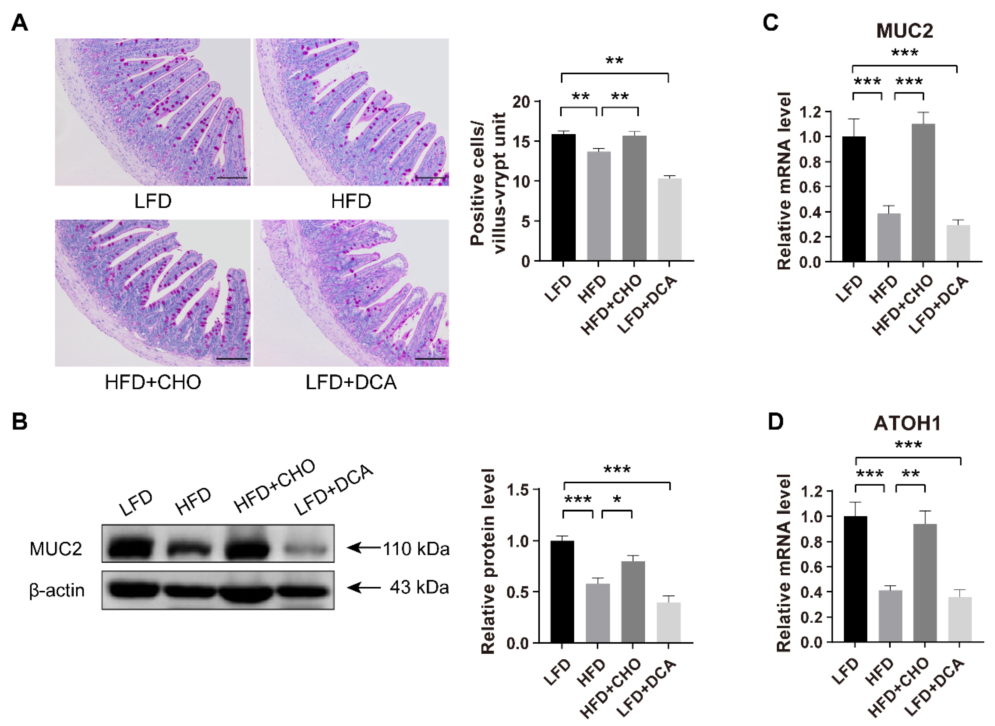 Ijms 23 15578 g002 Ijms 23 15578 g002