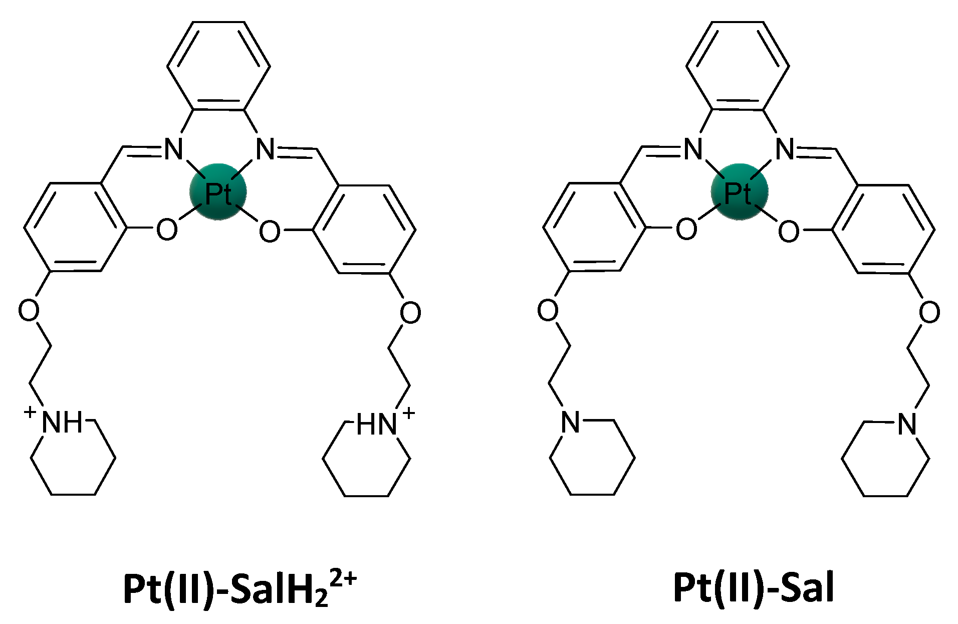 Ijms 23 15579 sch004