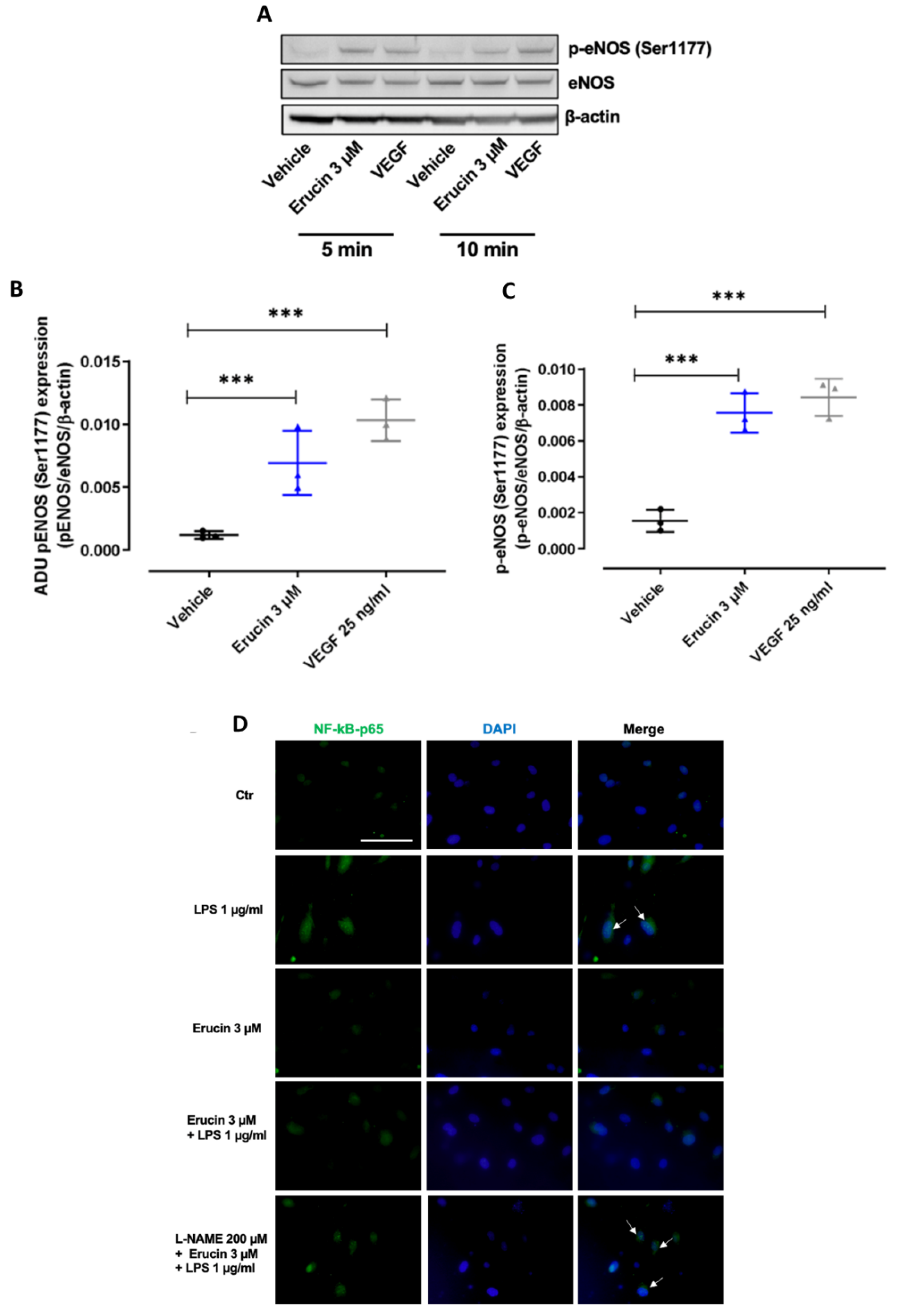 Ijms 23 15593 g007 Ijms 23 15593 g007