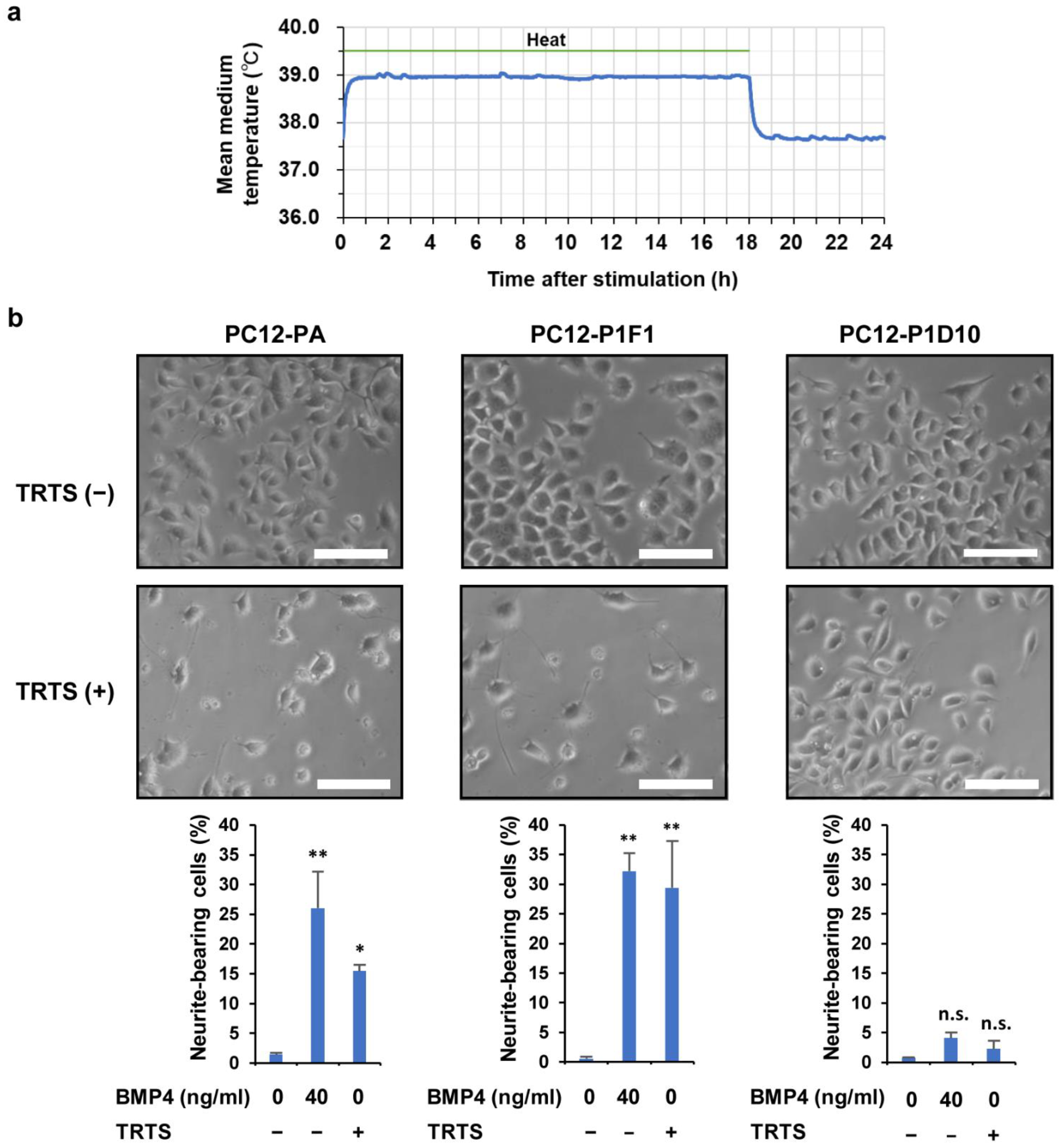 Ijms 23 15602 g001 Ijms 23 15602 g001