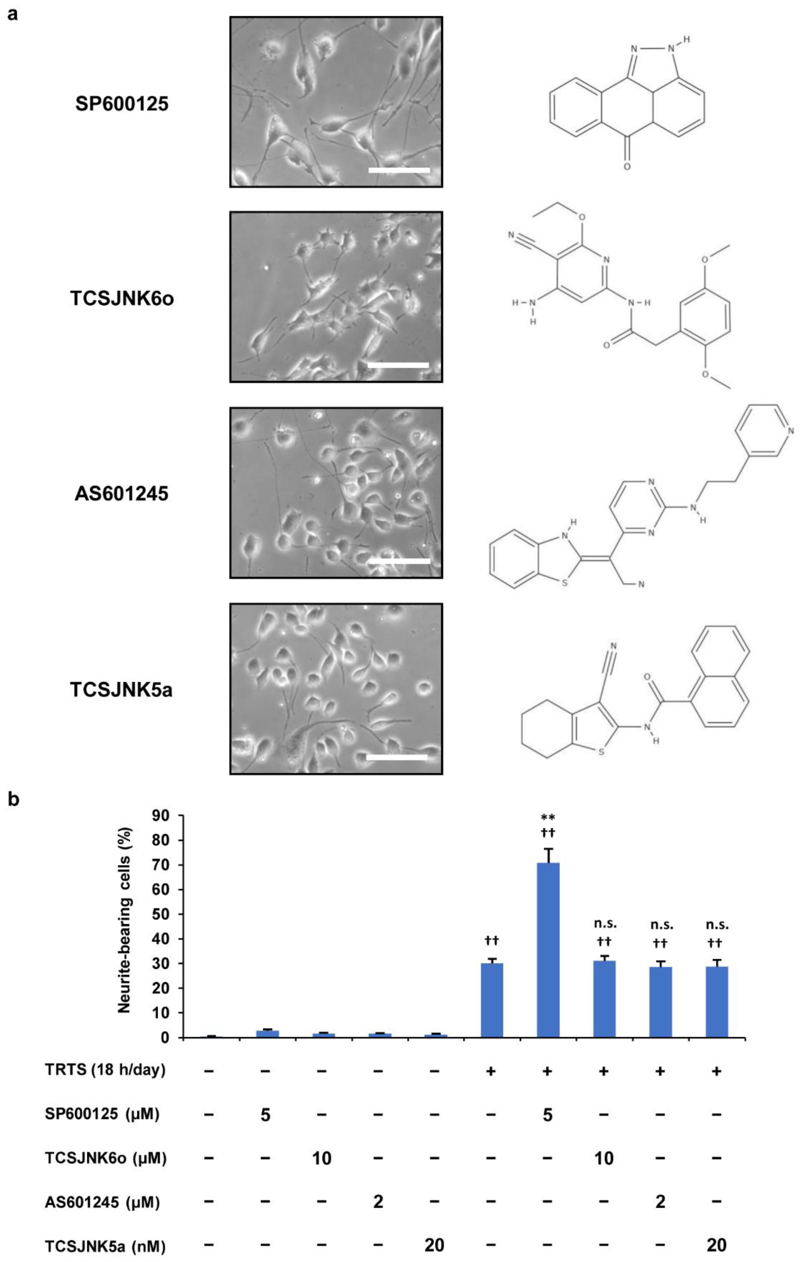 Ijms 23 15602 g006 Ijms 23 15602 g006