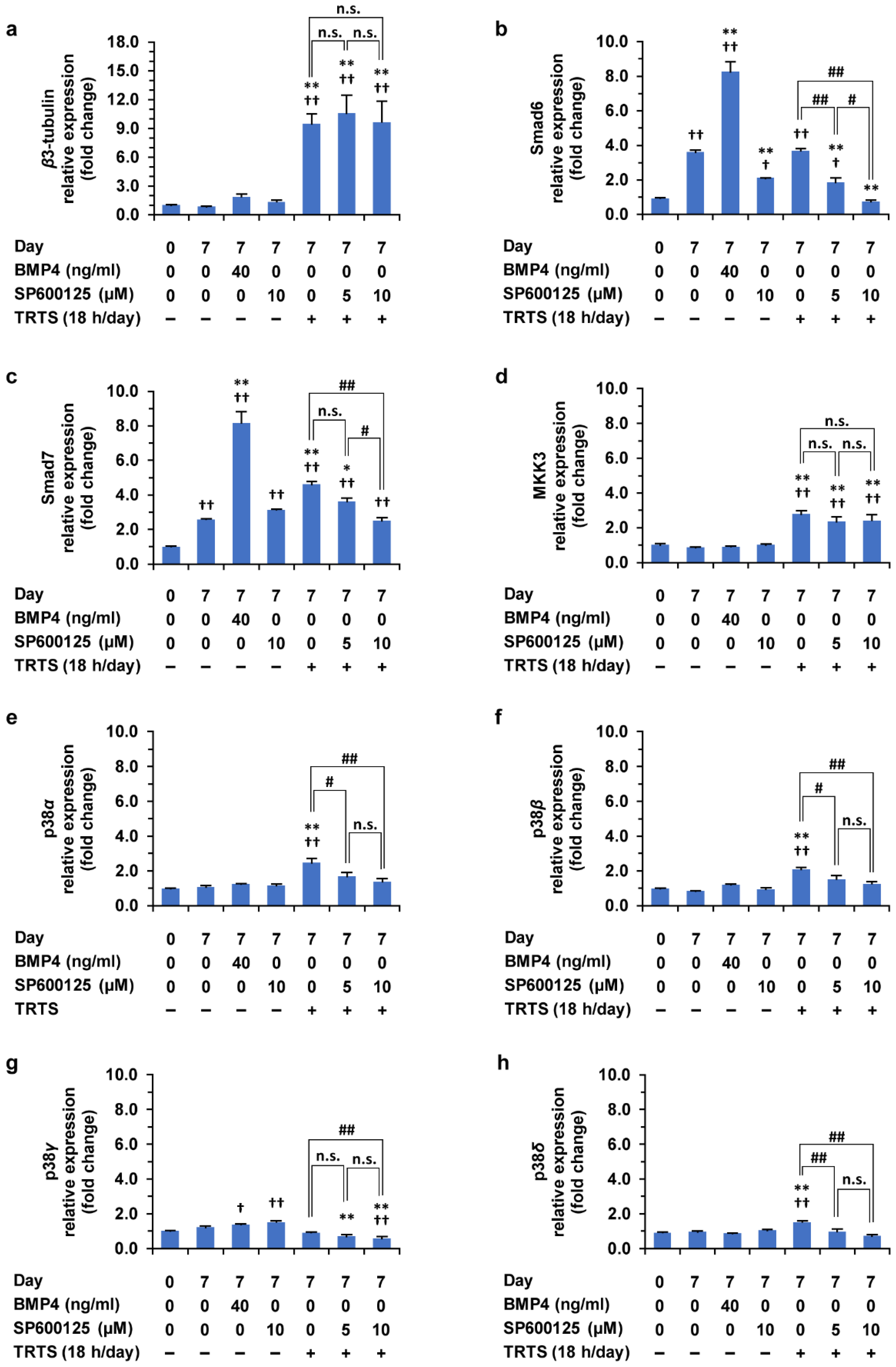 Ijms 23 15602 g010 Ijms 23 15602 g010