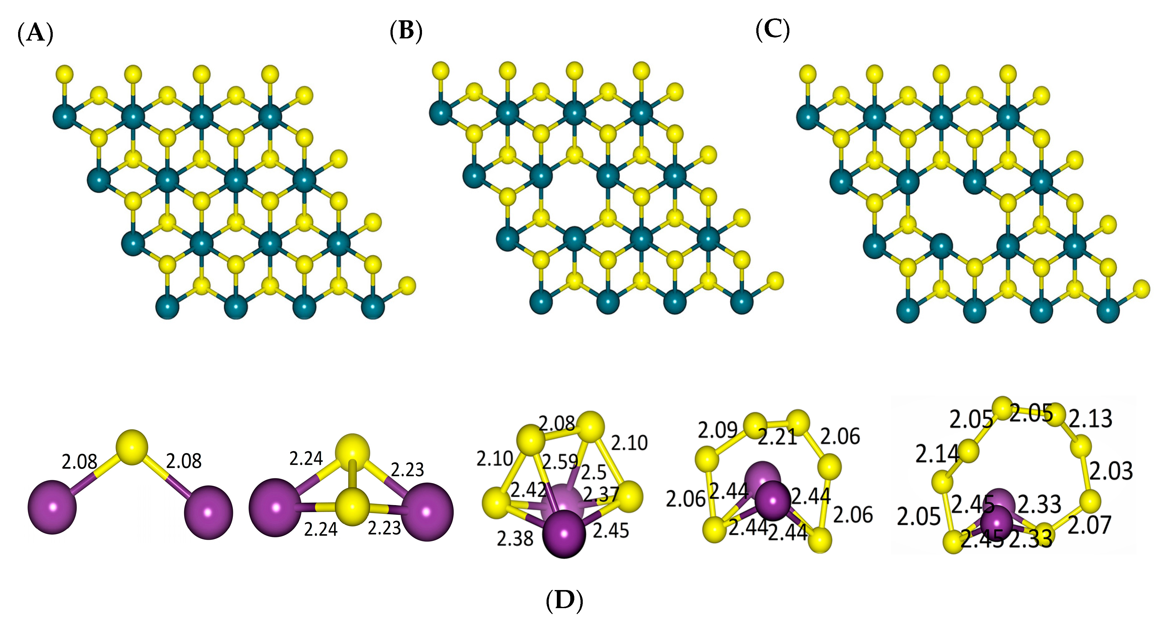 Ijms 23 15608 g001 Ijms 23 15608 g001