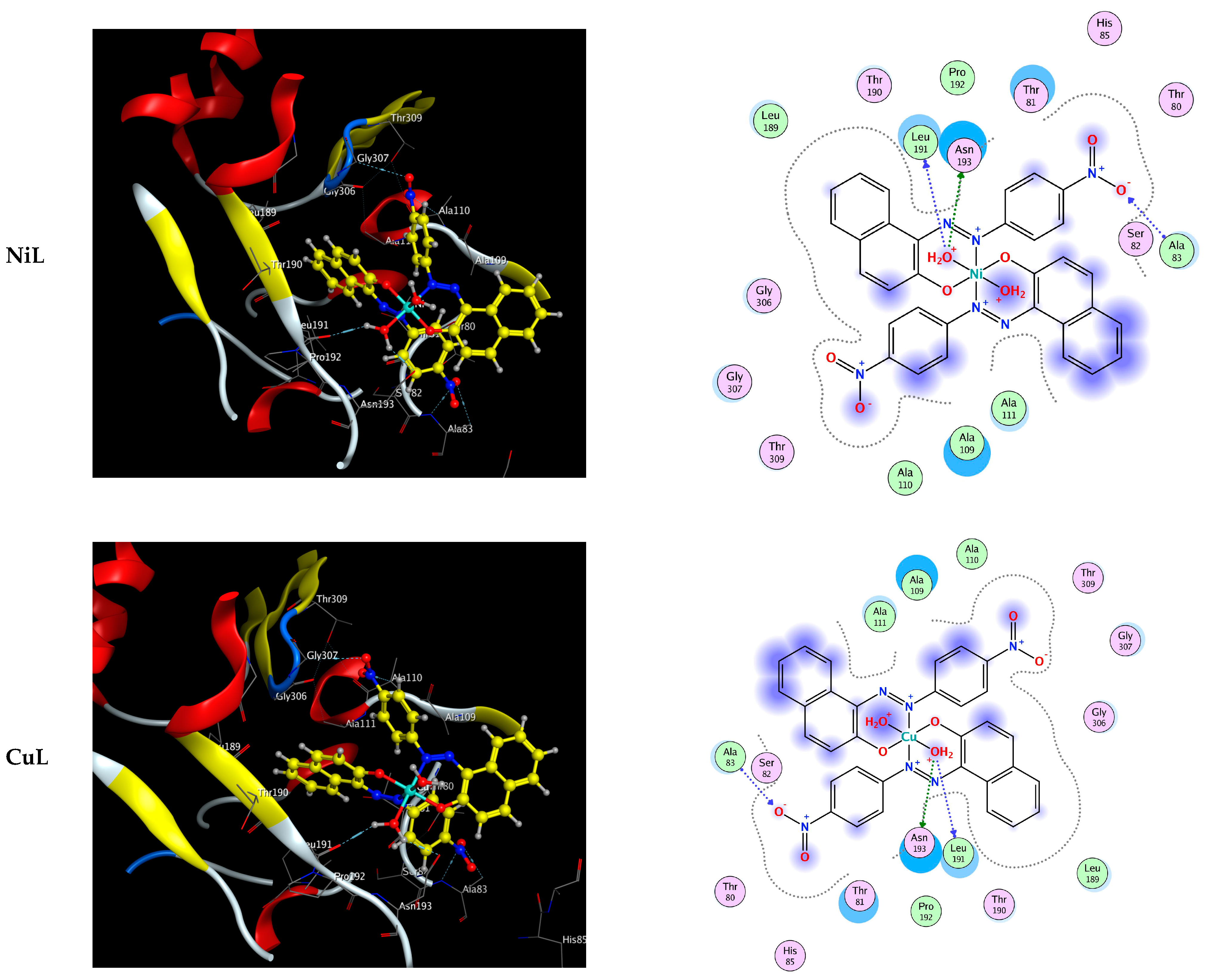 Ijms 23 15614 g005c Ijms 23 15614 g005c