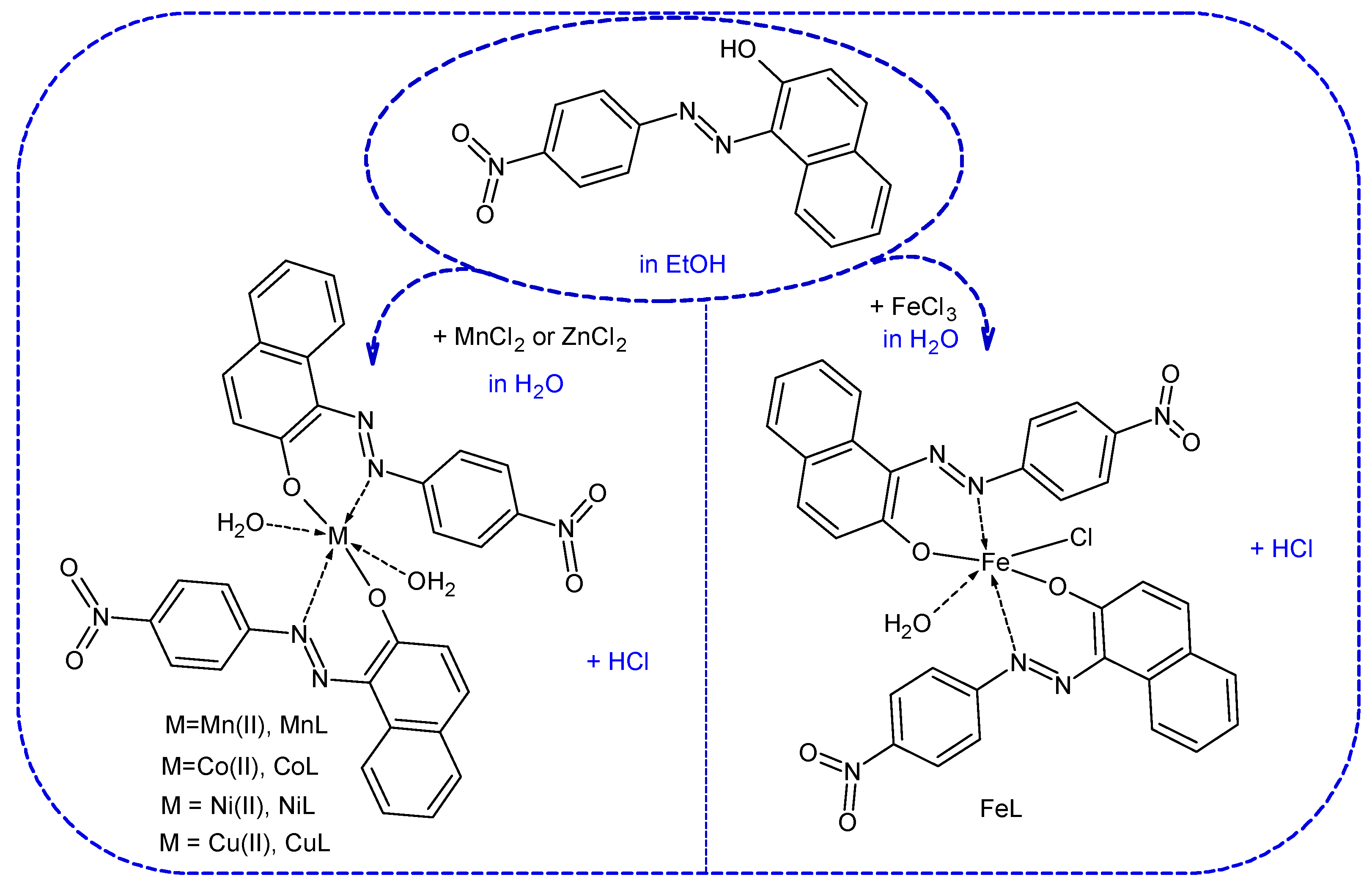 Ijms 23 15614 sch003 Ijms 23 15614 sch003