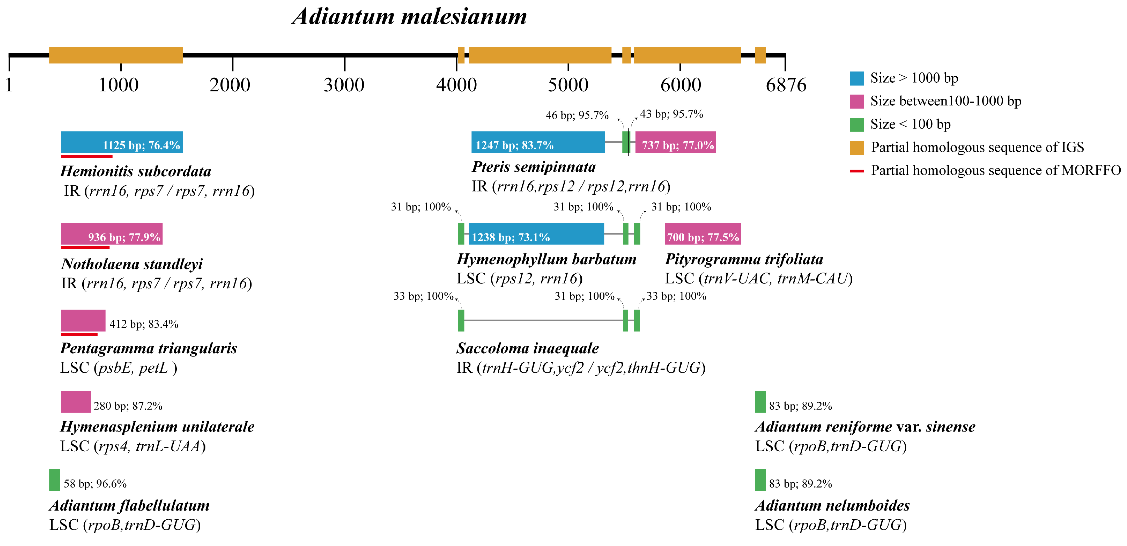 Ijms 23 15616 g003 Ijms 23 15616 g003