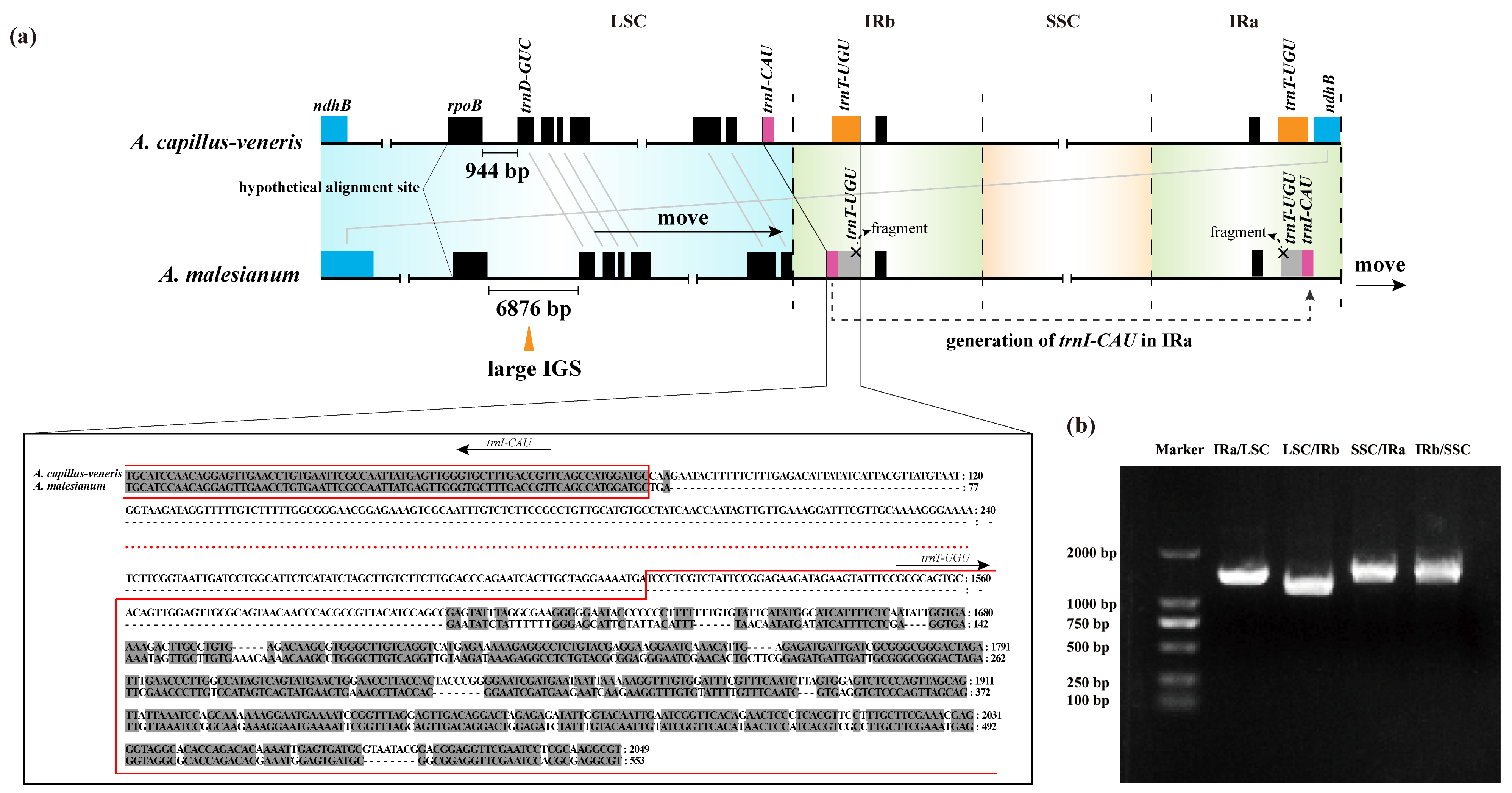 Ijms 23 15616 g004 Ijms 23 15616 g004