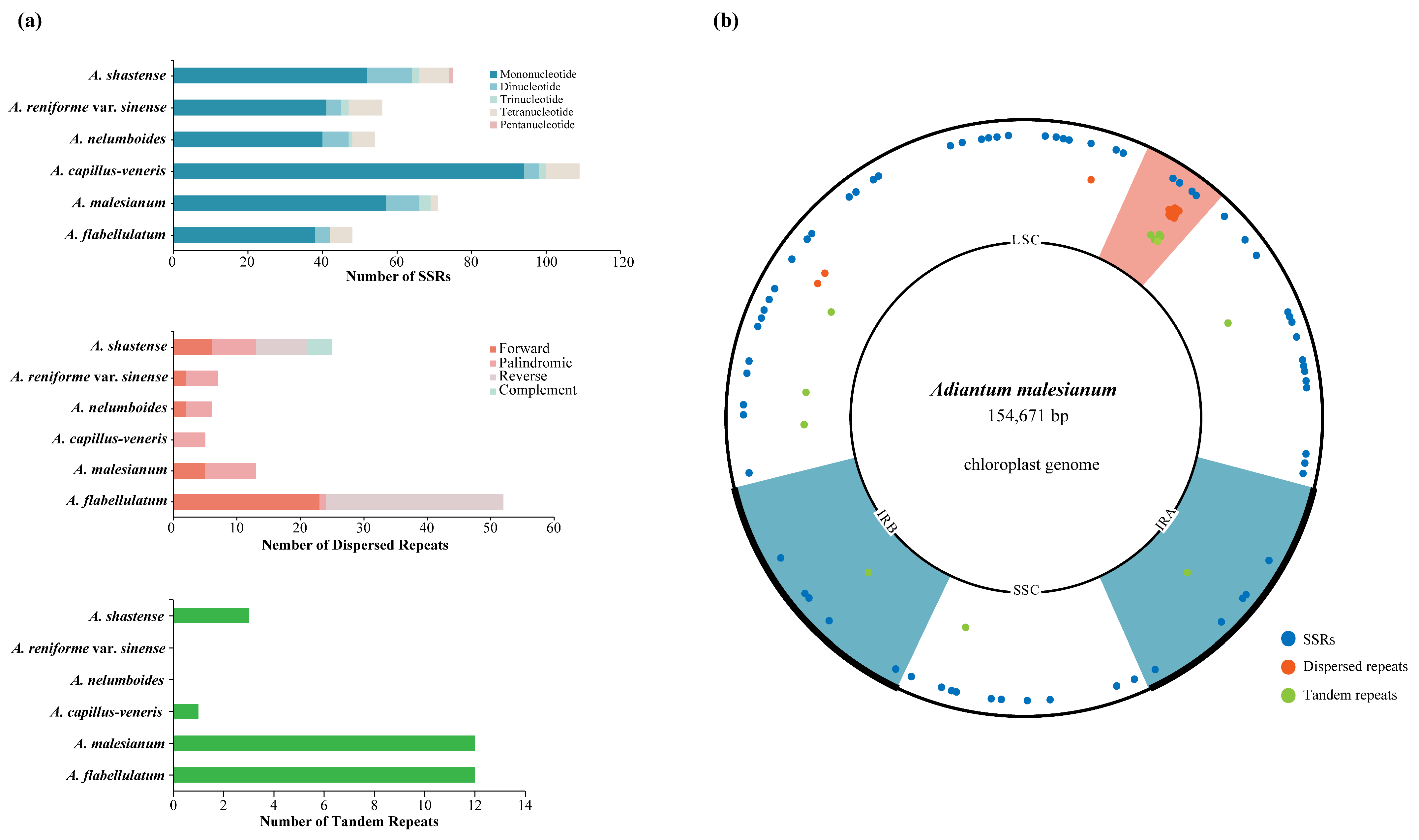 Ijms 23 15616 g005 Ijms 23 15616 g005