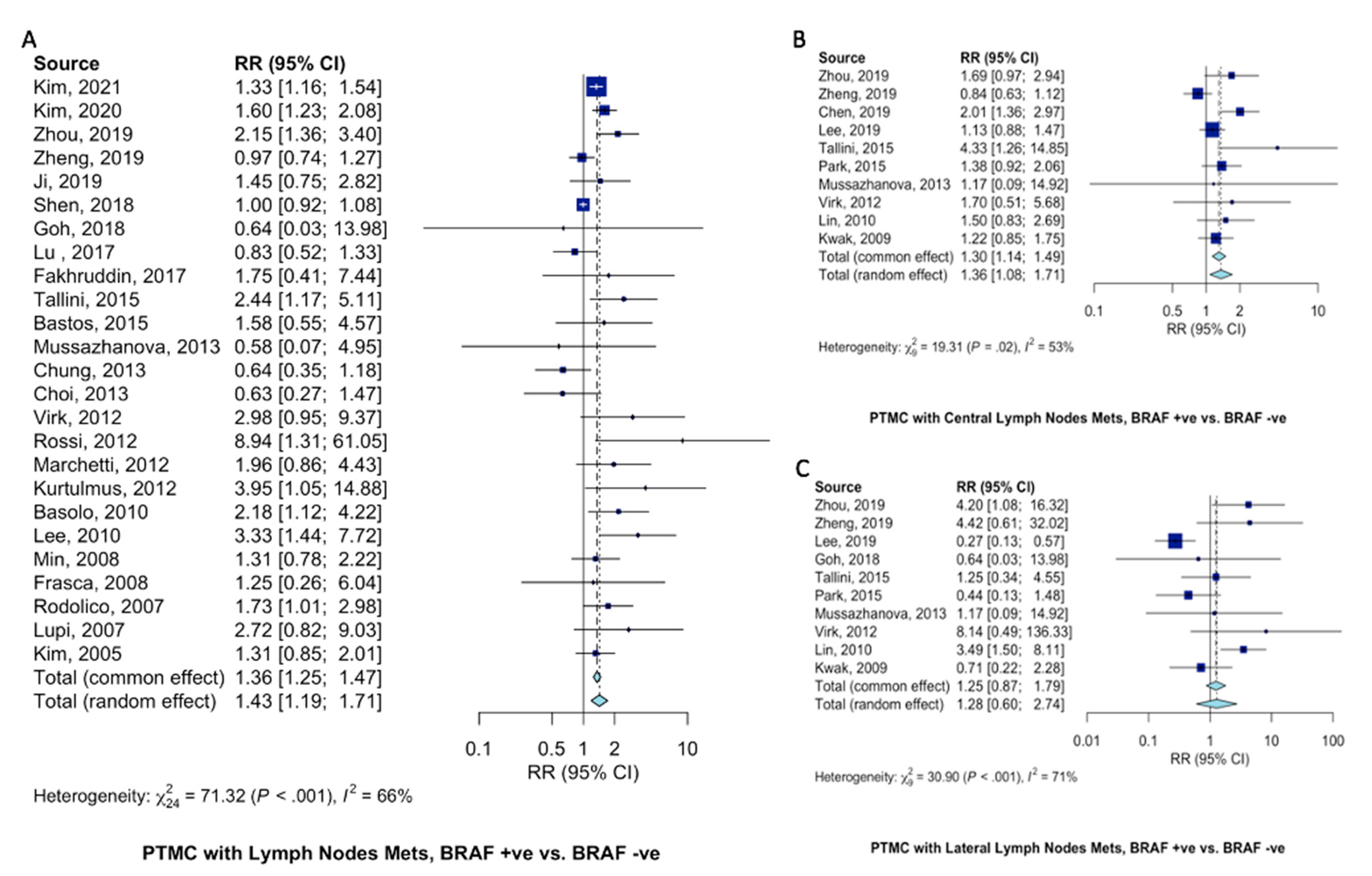 Ijms 23 15626 g004 Ijms 23 15626 g004