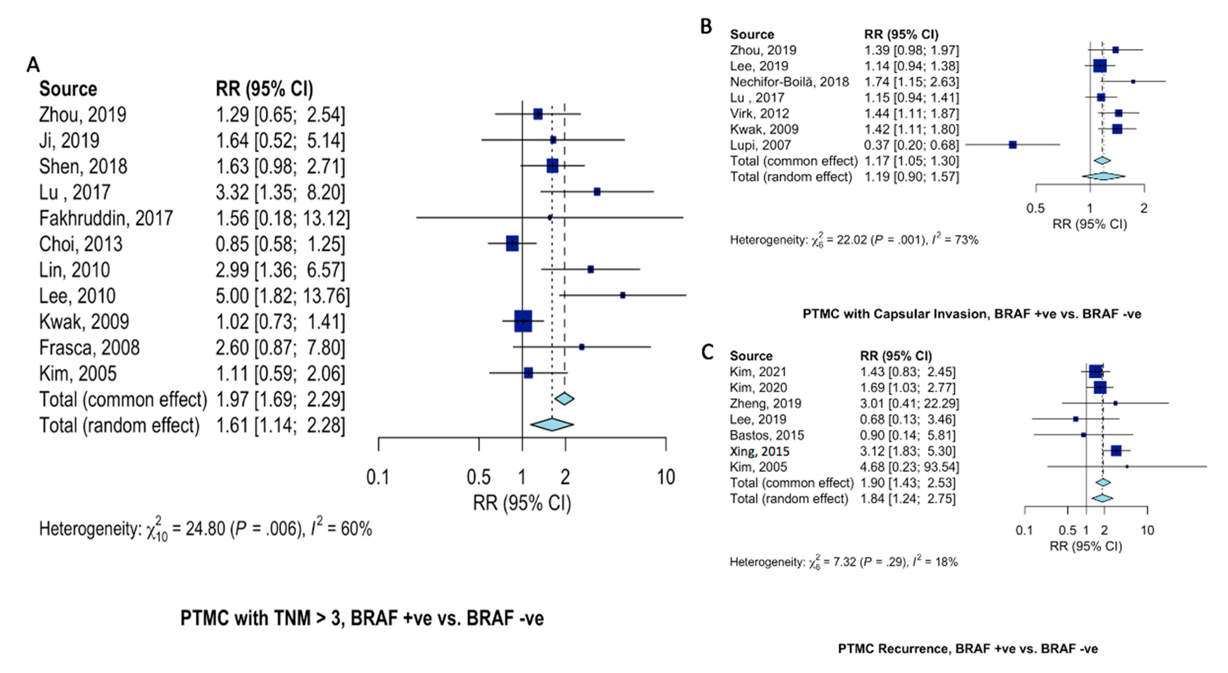Ijms 23 15626 g005 Ijms 23 15626 g005