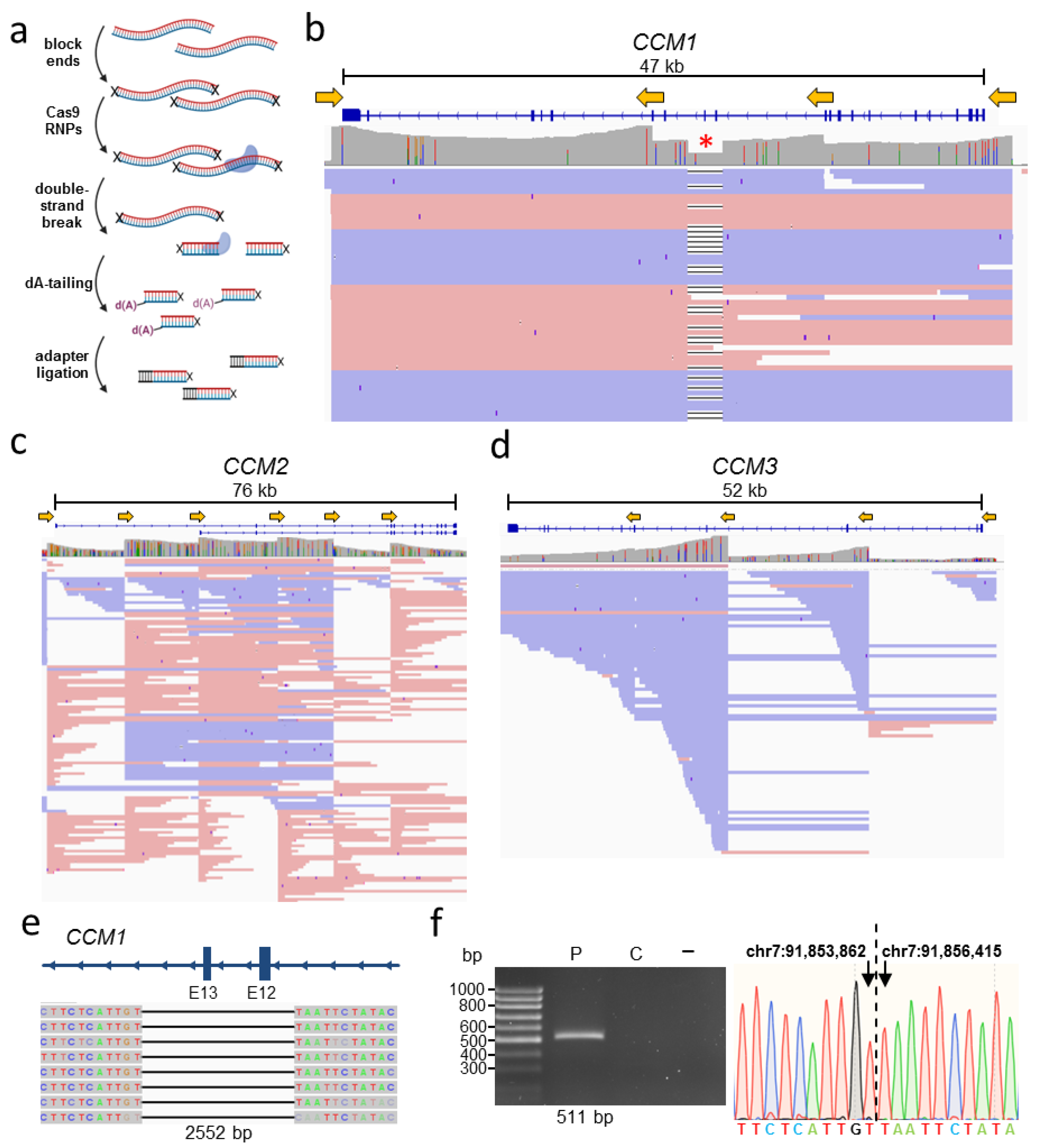 Orientation of flanking sequences neighboring to insertions in long reads