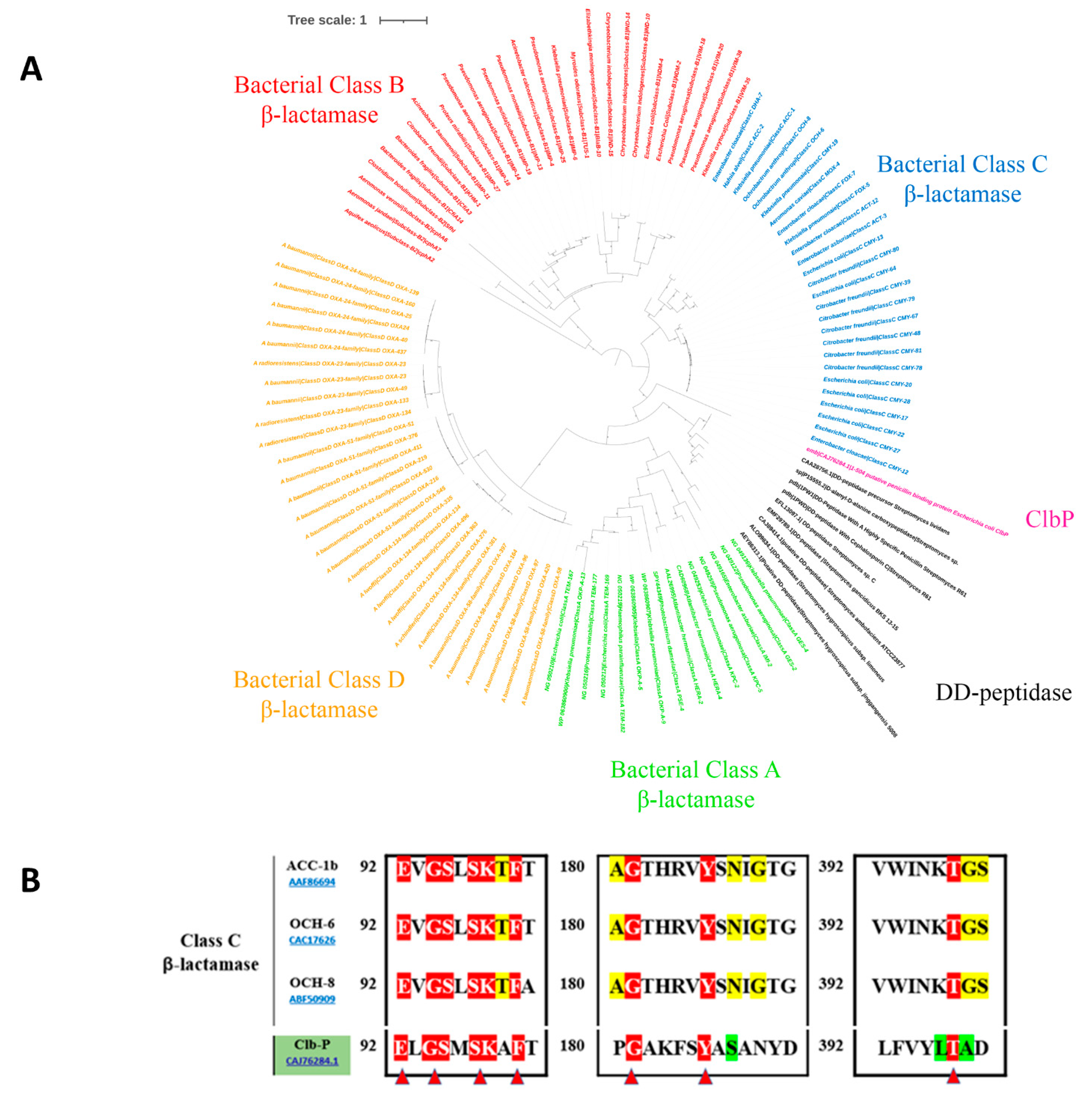 Ijms 23 15642 g002 Ijms 23 15642 g002