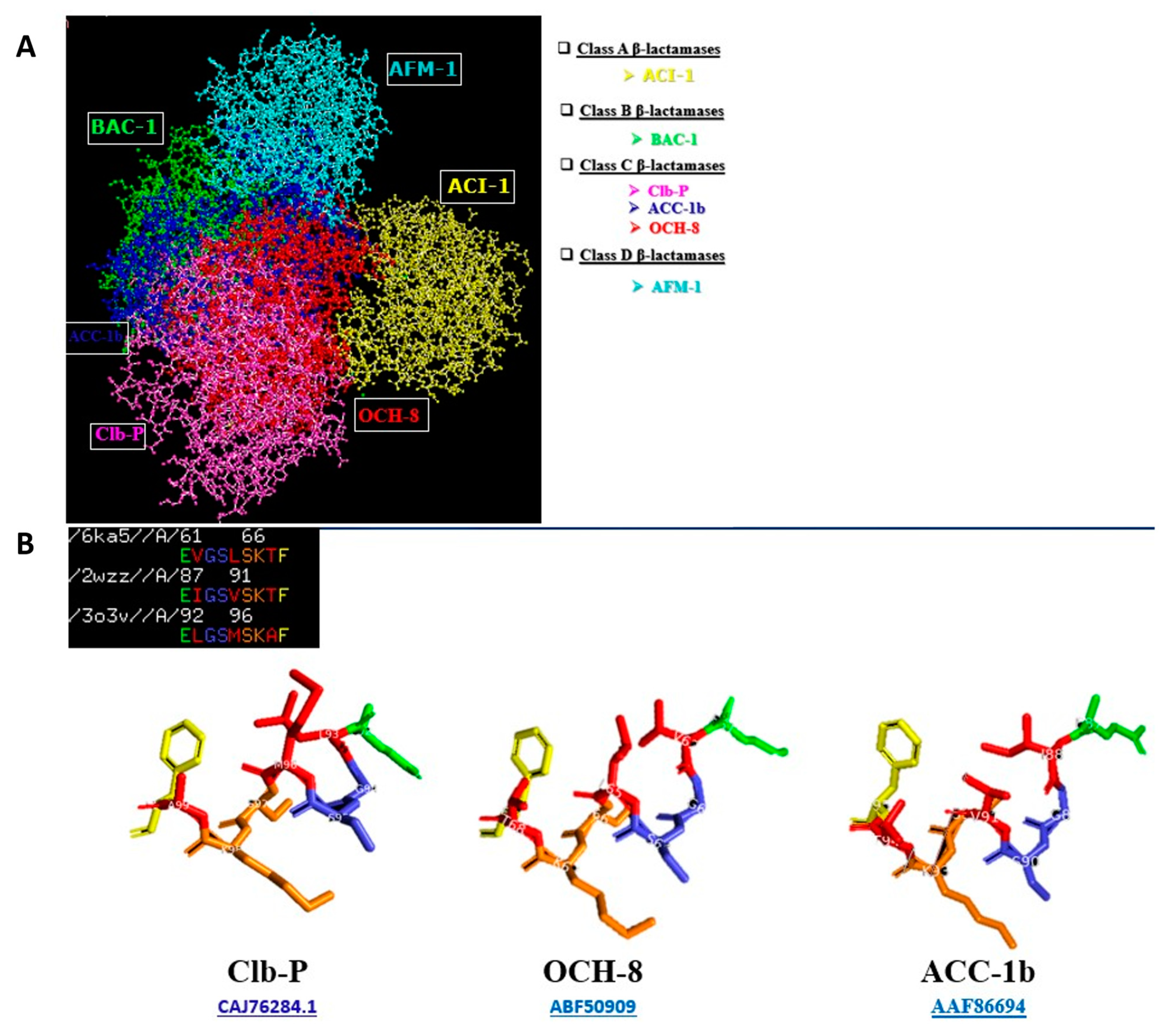 Ijms 23 15642 g003 Ijms 23 15642 g003