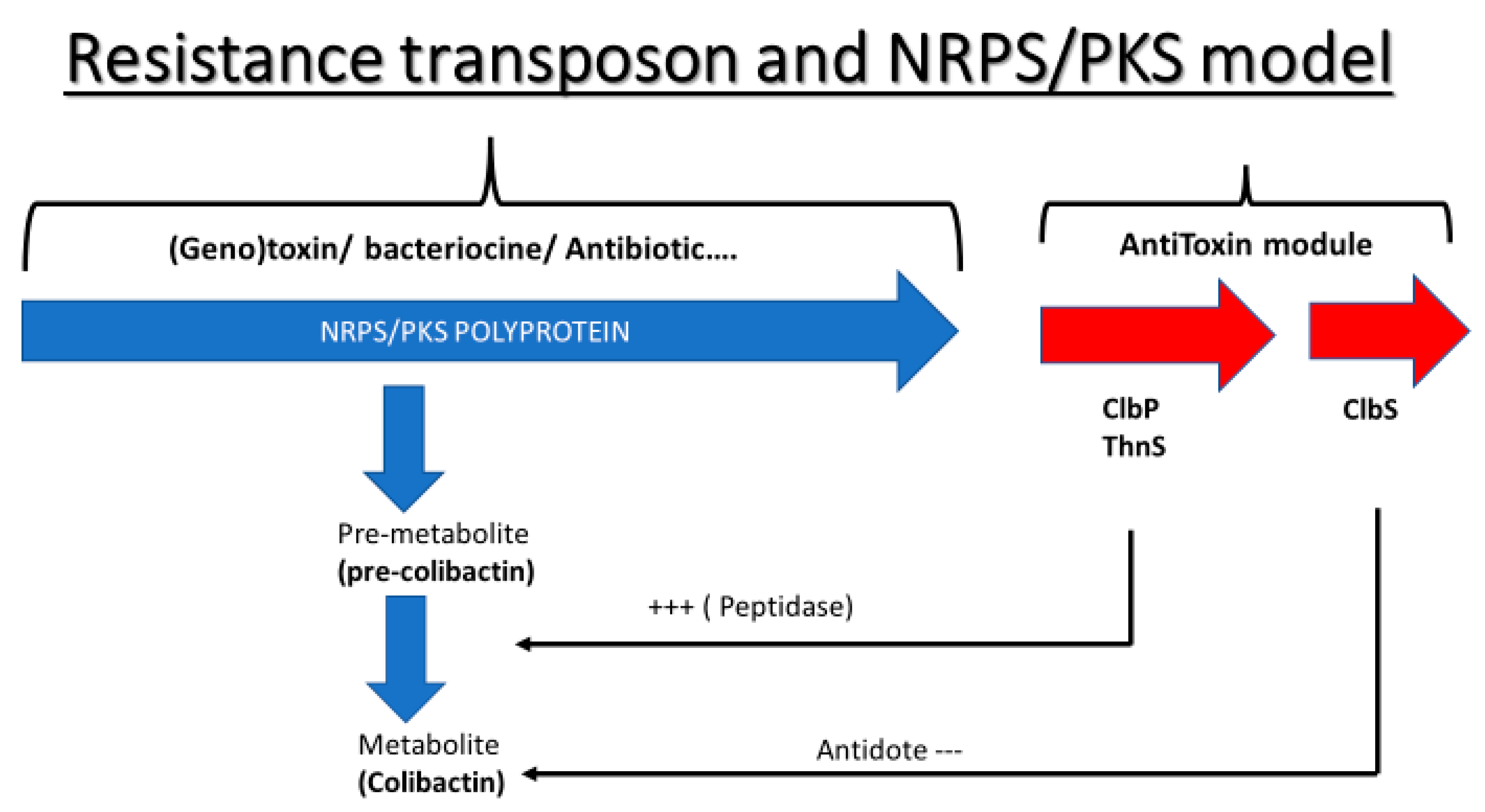 Ijms 23 15642 g005 Ijms 23 15642 g005