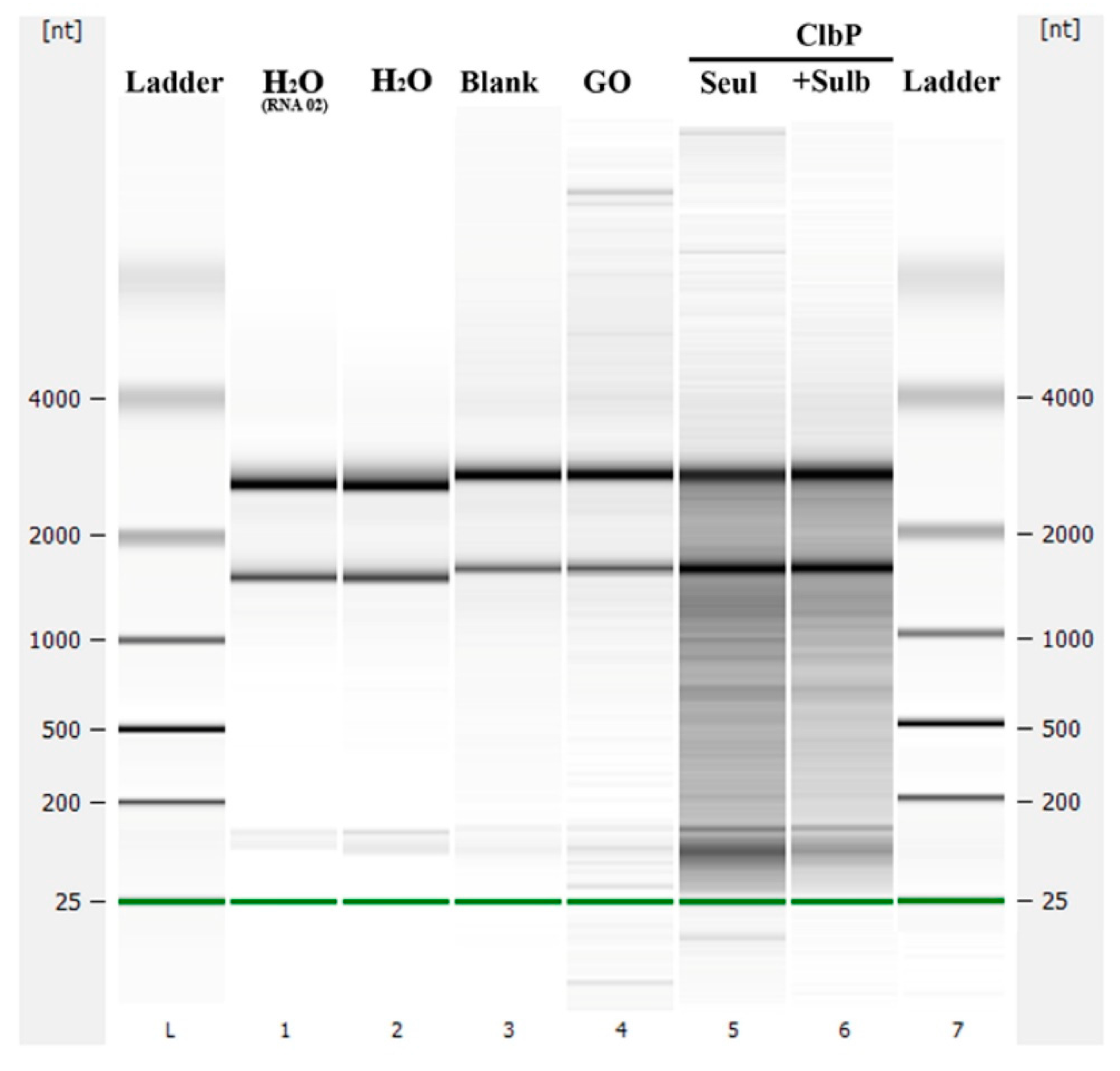 Ijms 23 15642 g006 Ijms 23 15642 g006