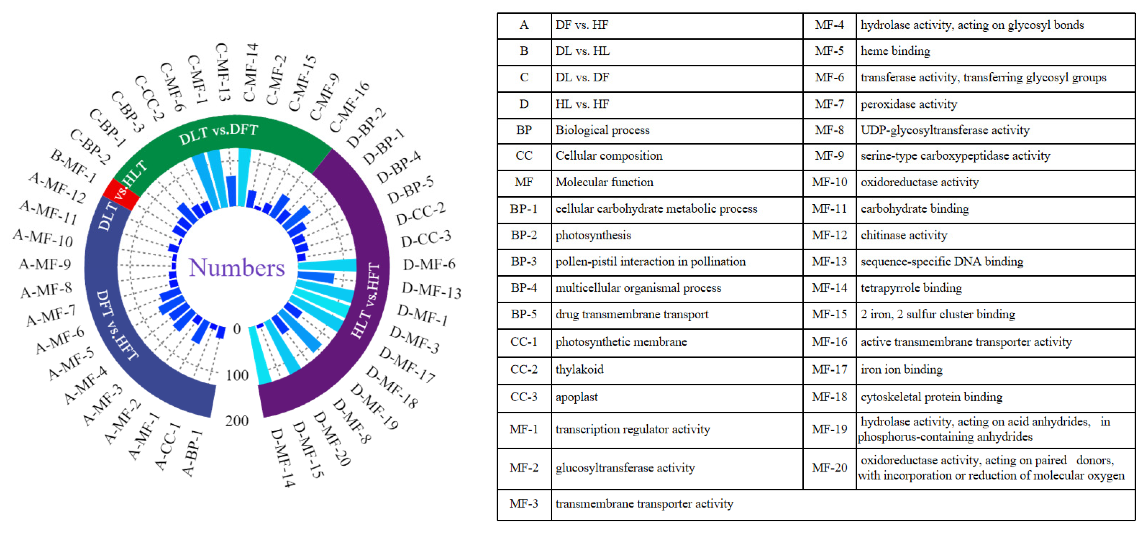 Ijms 23 15648 g004 Ijms 23 15648 g004
