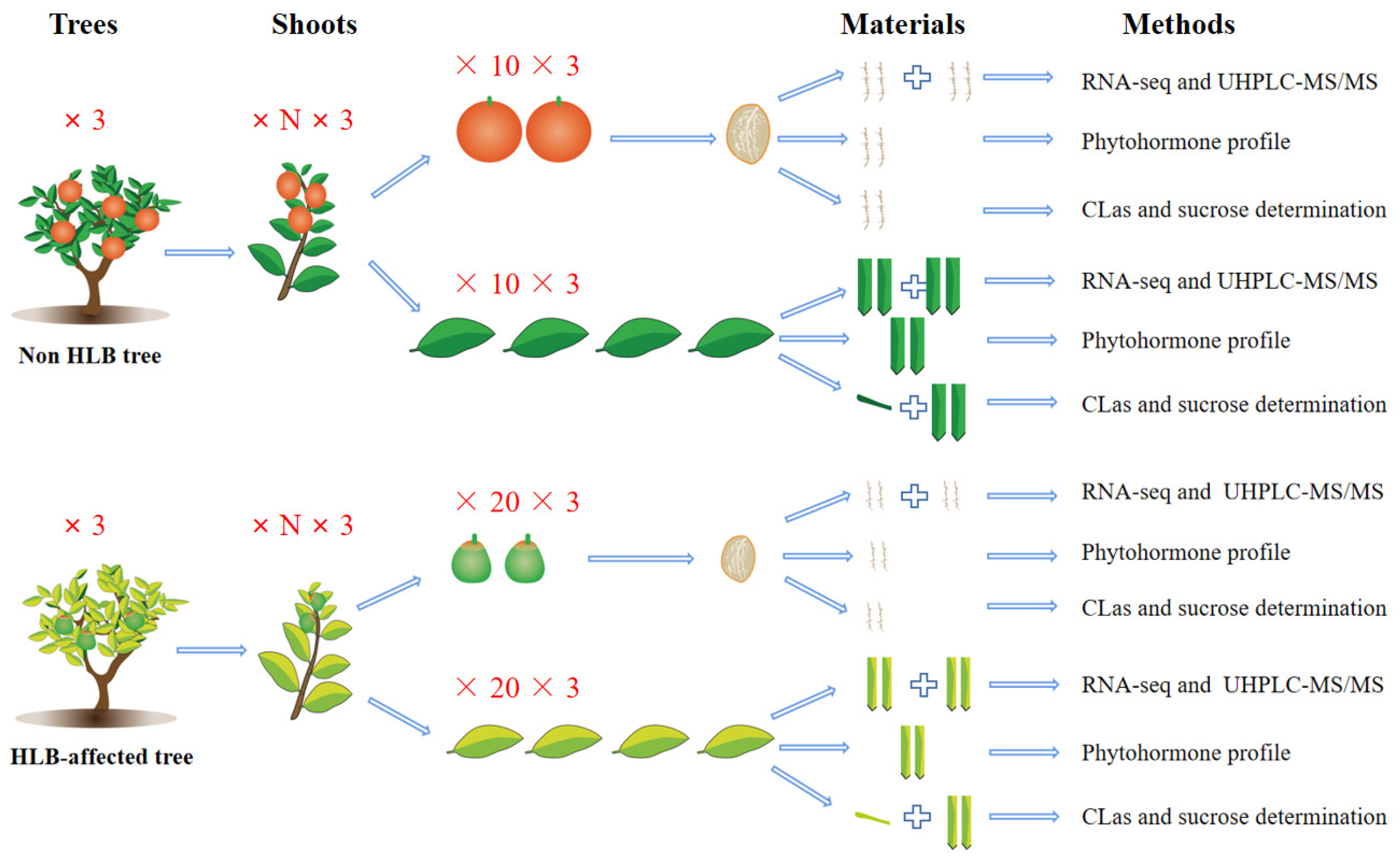 Ijms 23 15648 g009 Ijms 23 15648 g009