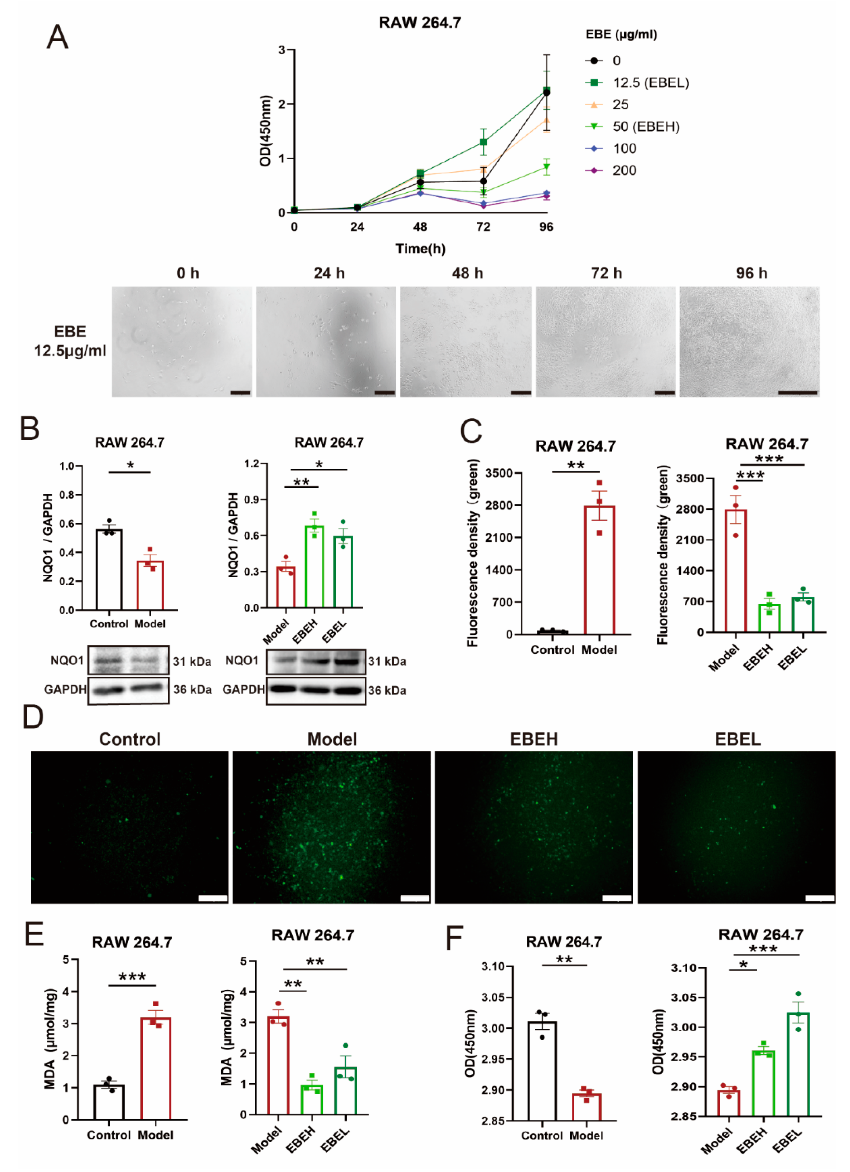 Ijms 23 15651 g004 Ijms 23 15651 g004