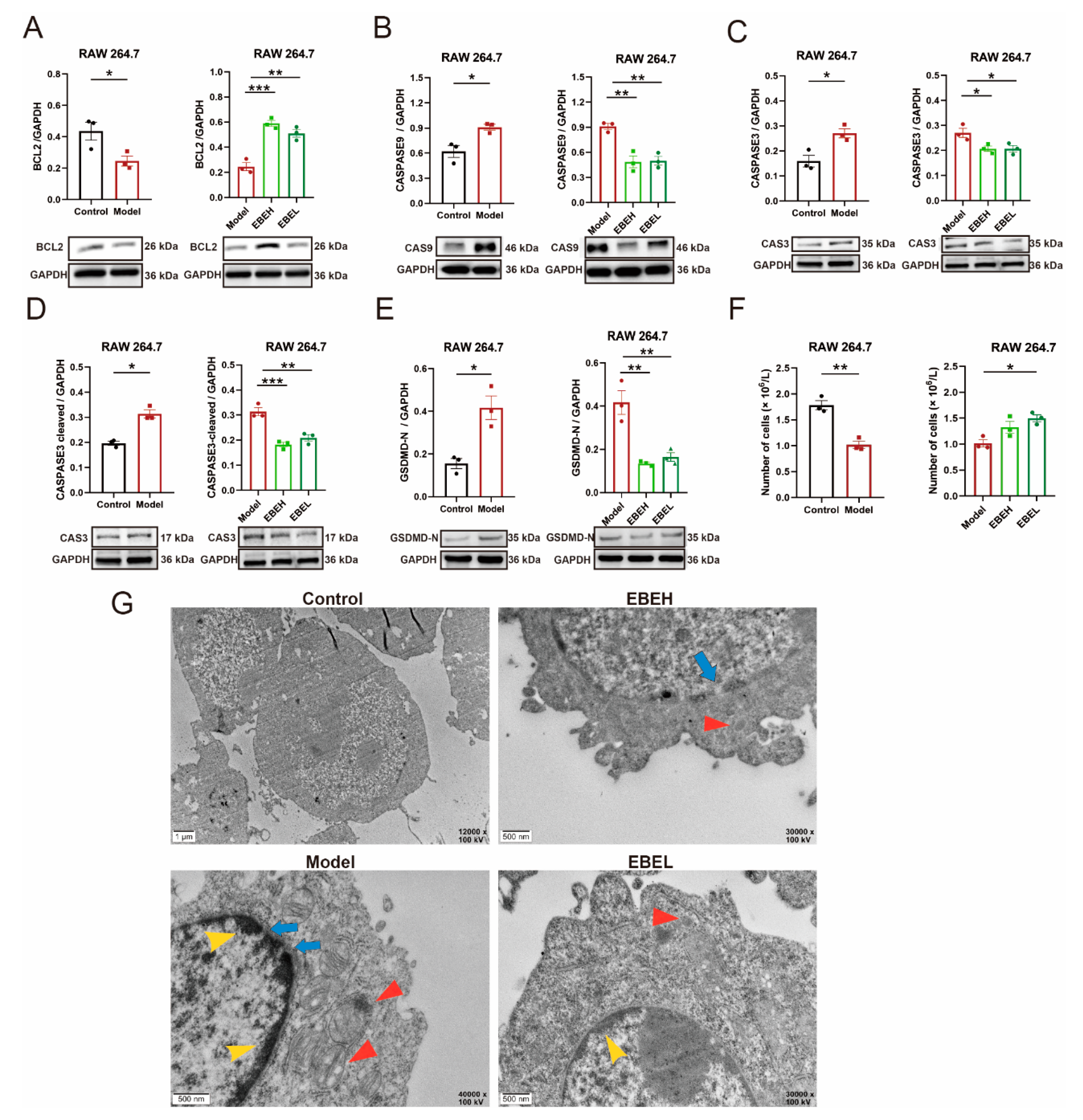 Ijms 23 15651 g005 Ijms 23 15651 g005