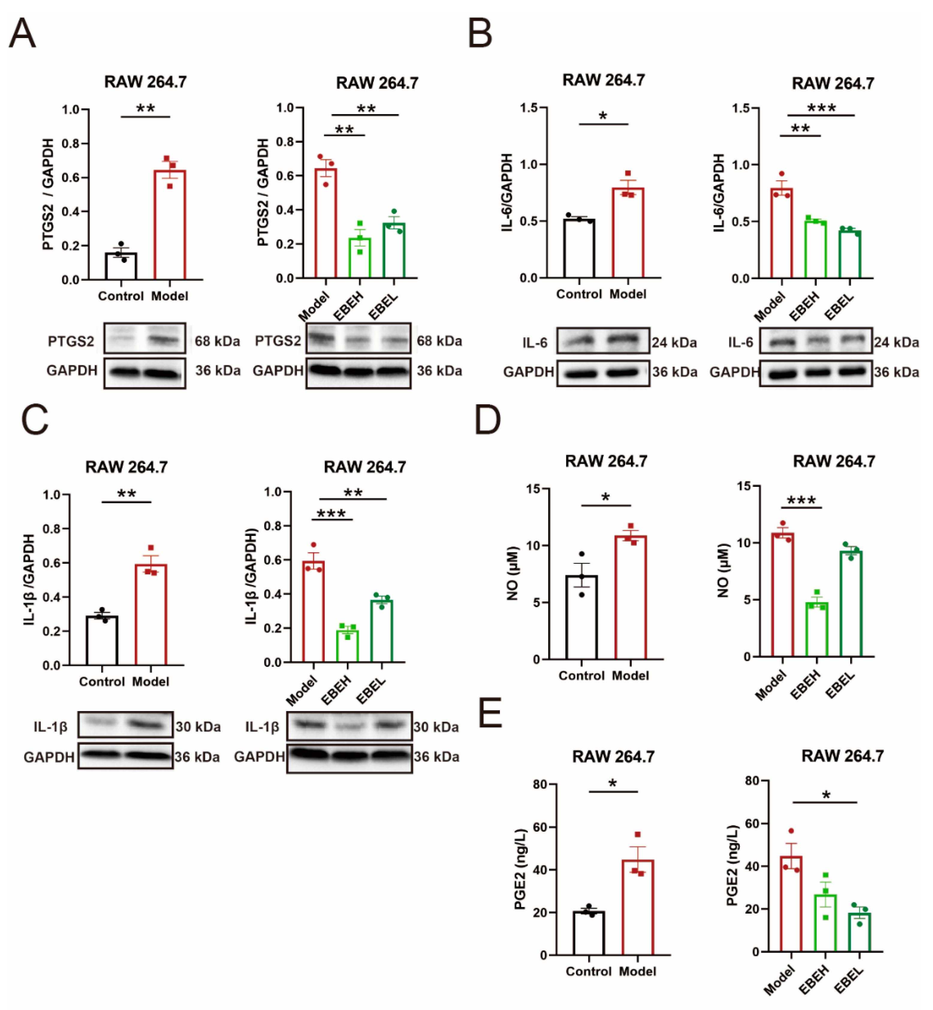 Ijms 23 15651 g006 Ijms 23 15651 g006