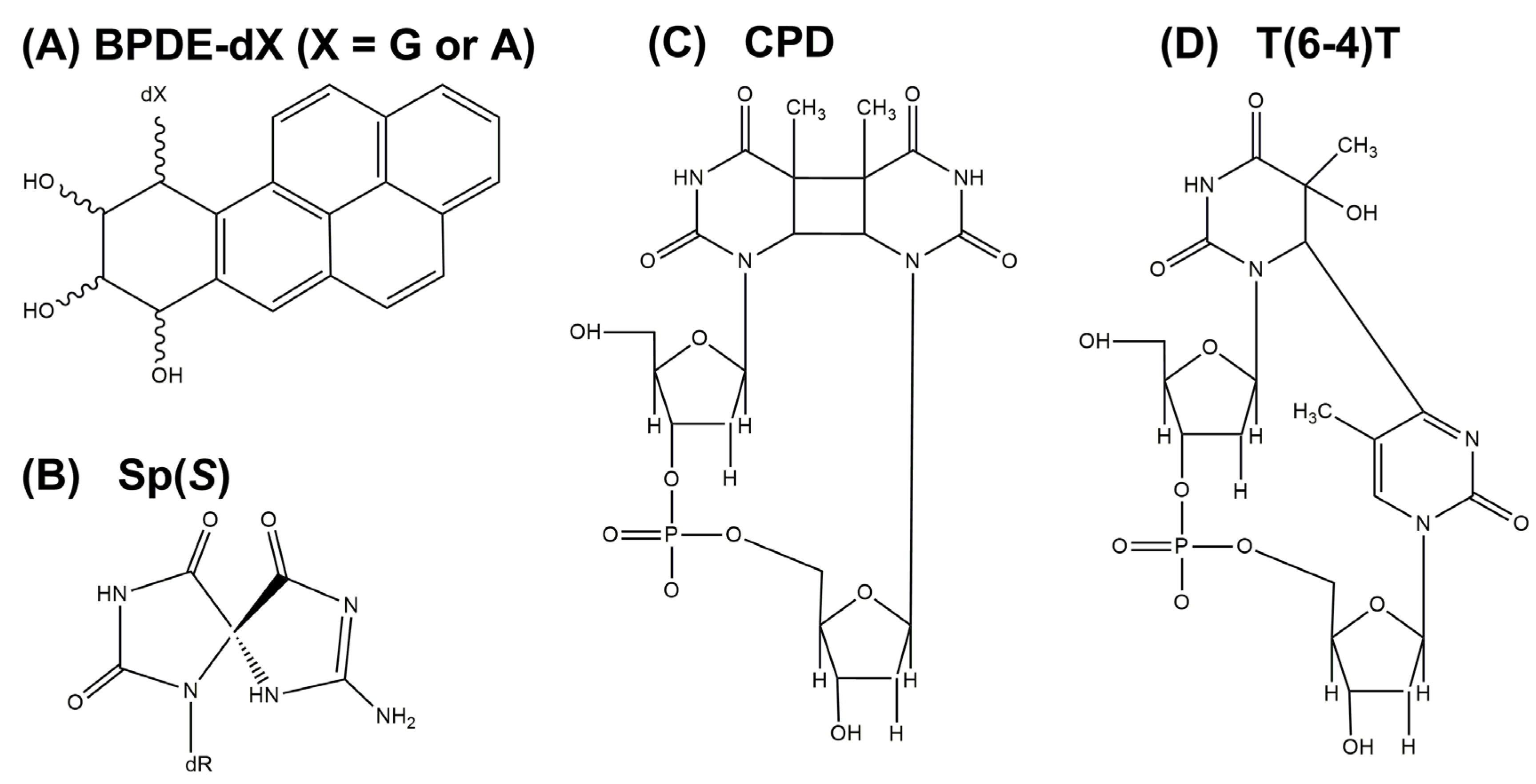 Ijms 23 15654 g001 Ijms 23 15654 g001