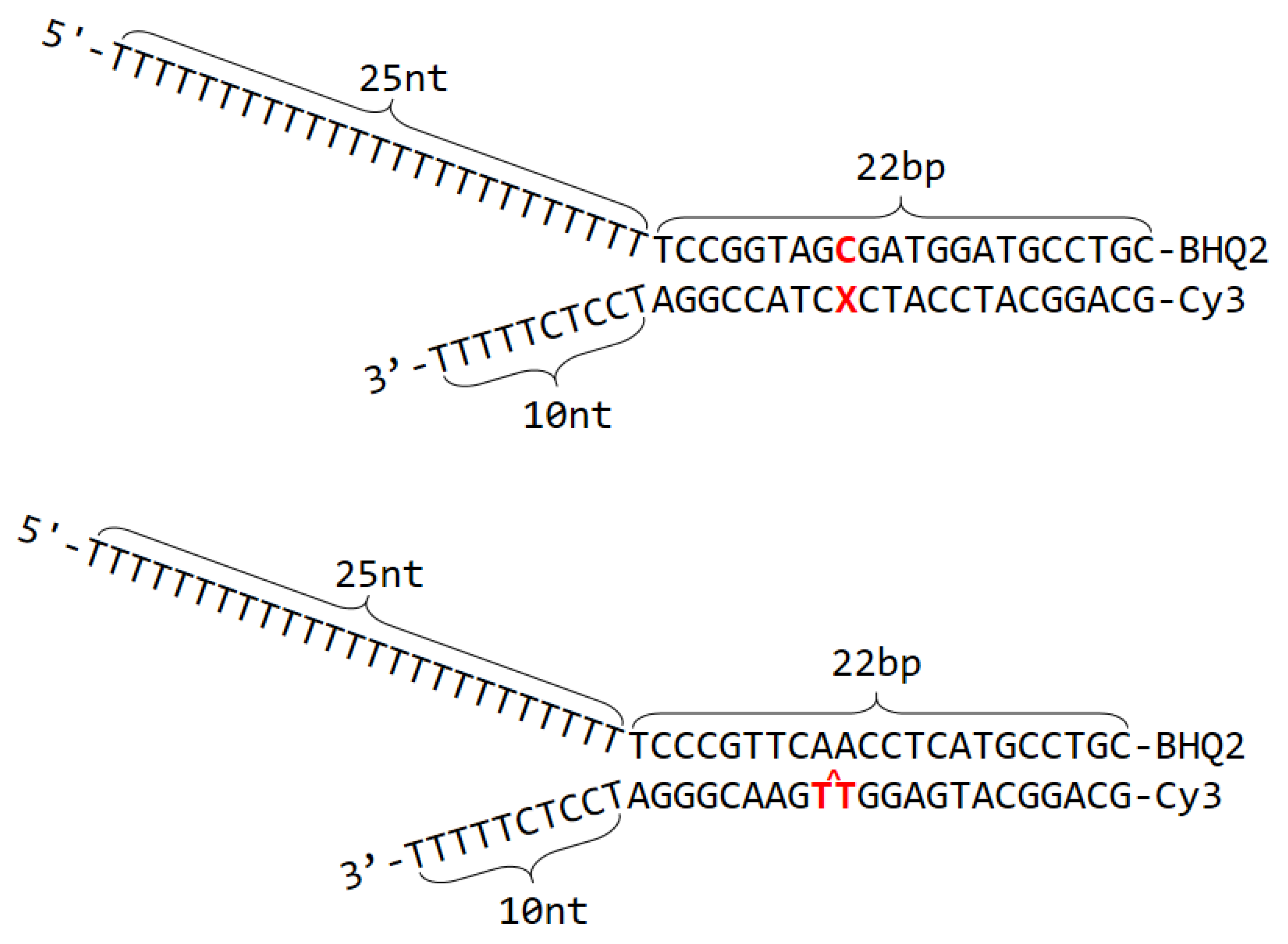 Ijms 23 15654 g002 Ijms 23 15654 g002