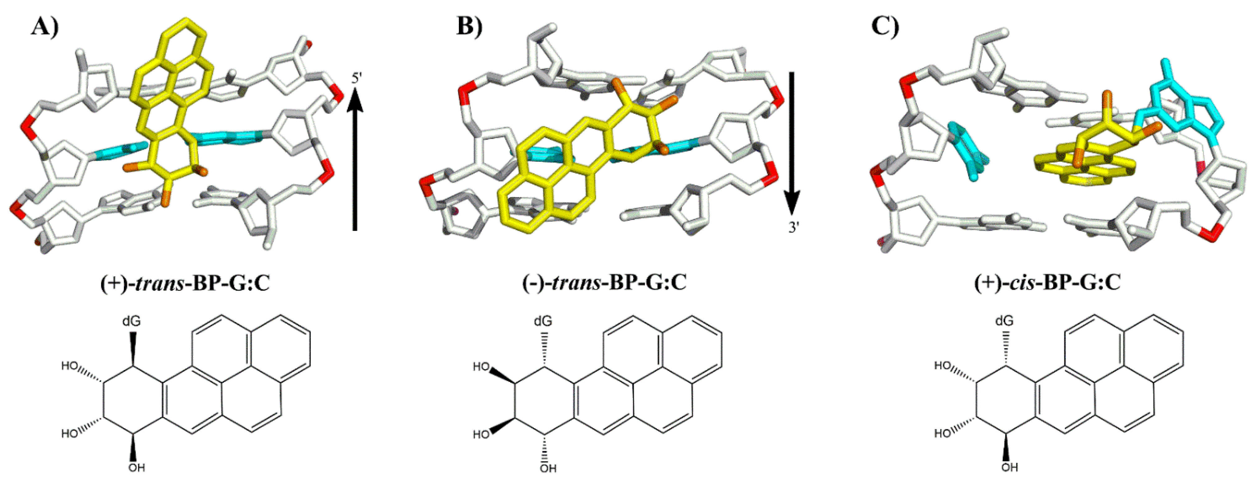 Ijms 23 15654 g003 Ijms 23 15654 g003