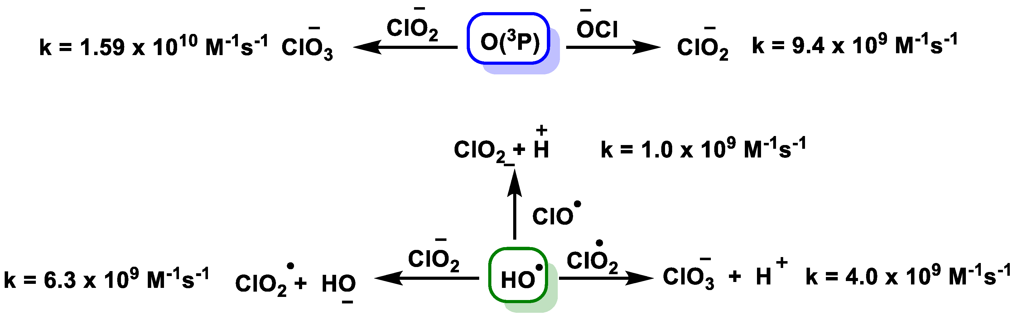 Ijms 23 15660 g023 Ijms 23 15660 g023