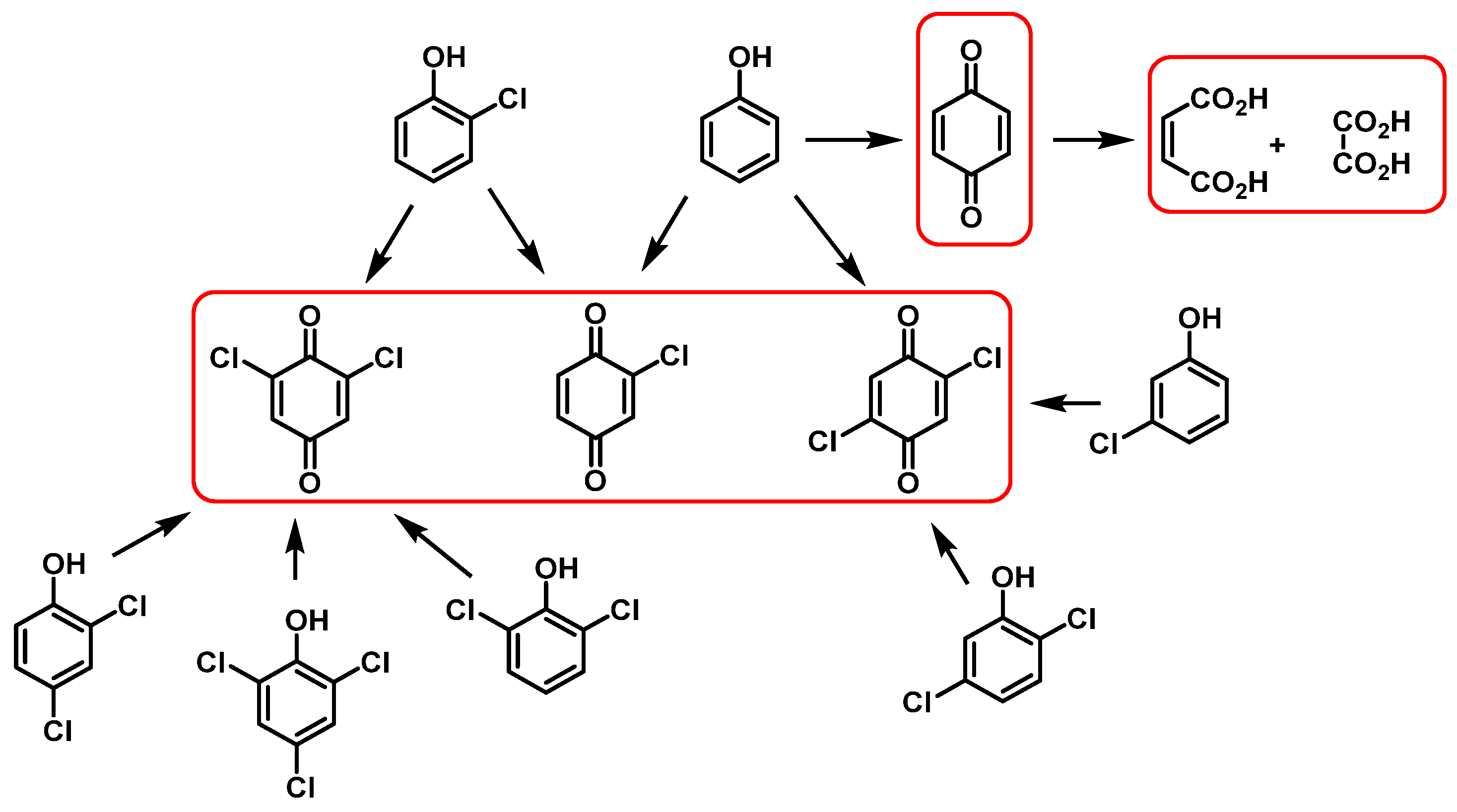 Ijms 23 15660 g029 Ijms 23 15660 g029