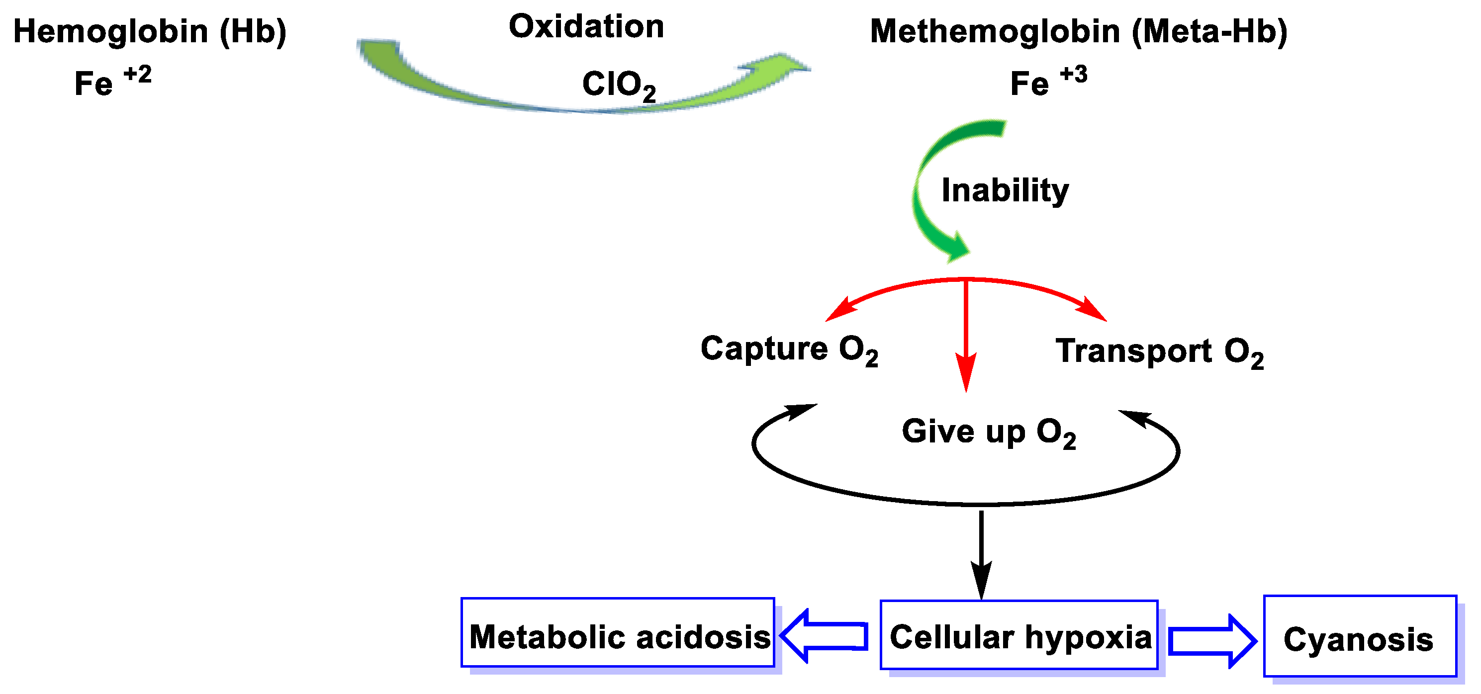 Ijms 23 15660 g043 Ijms 23 15660 g043