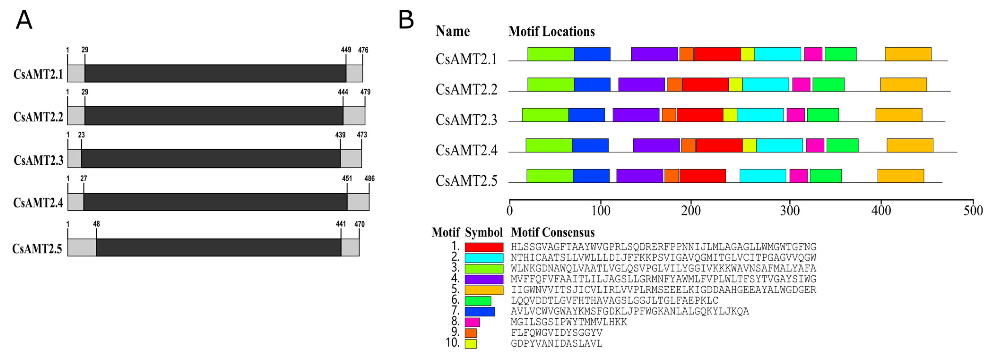 Ijms 23 15661 g001 Ijms 23 15661 g001