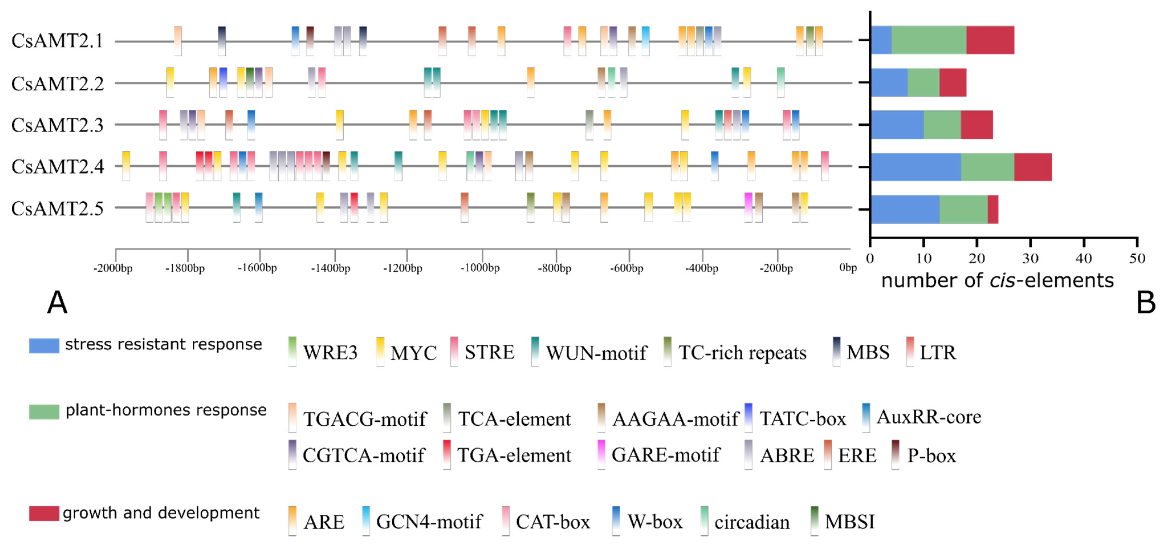 Ijms 23 15661 g002 Ijms 23 15661 g002